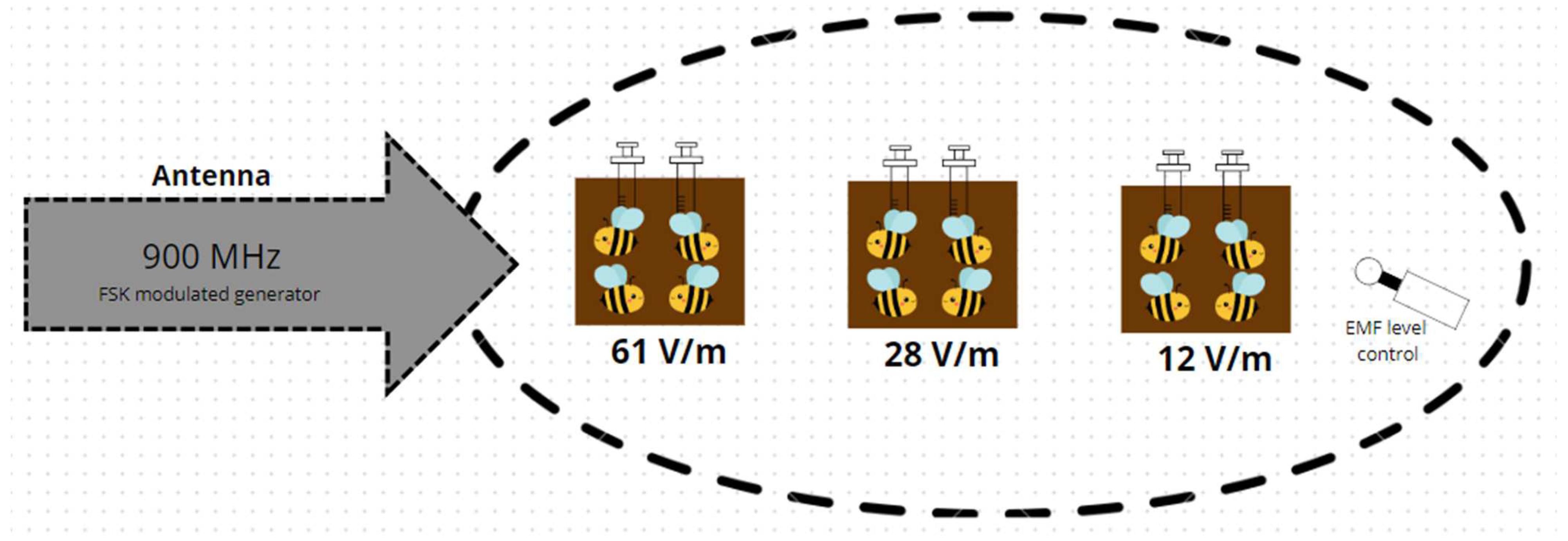 Agriculture 15 01266 g001