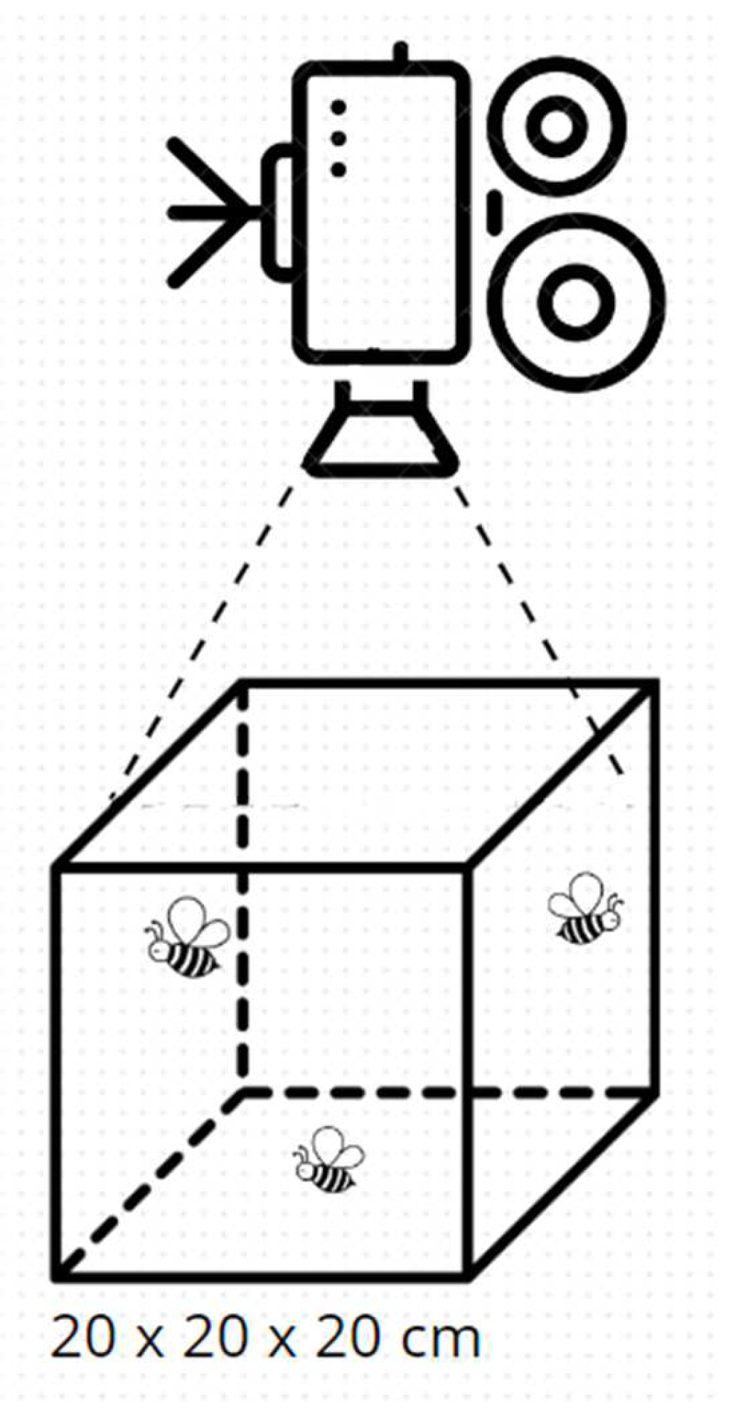 Agriculture 15 01266 g002