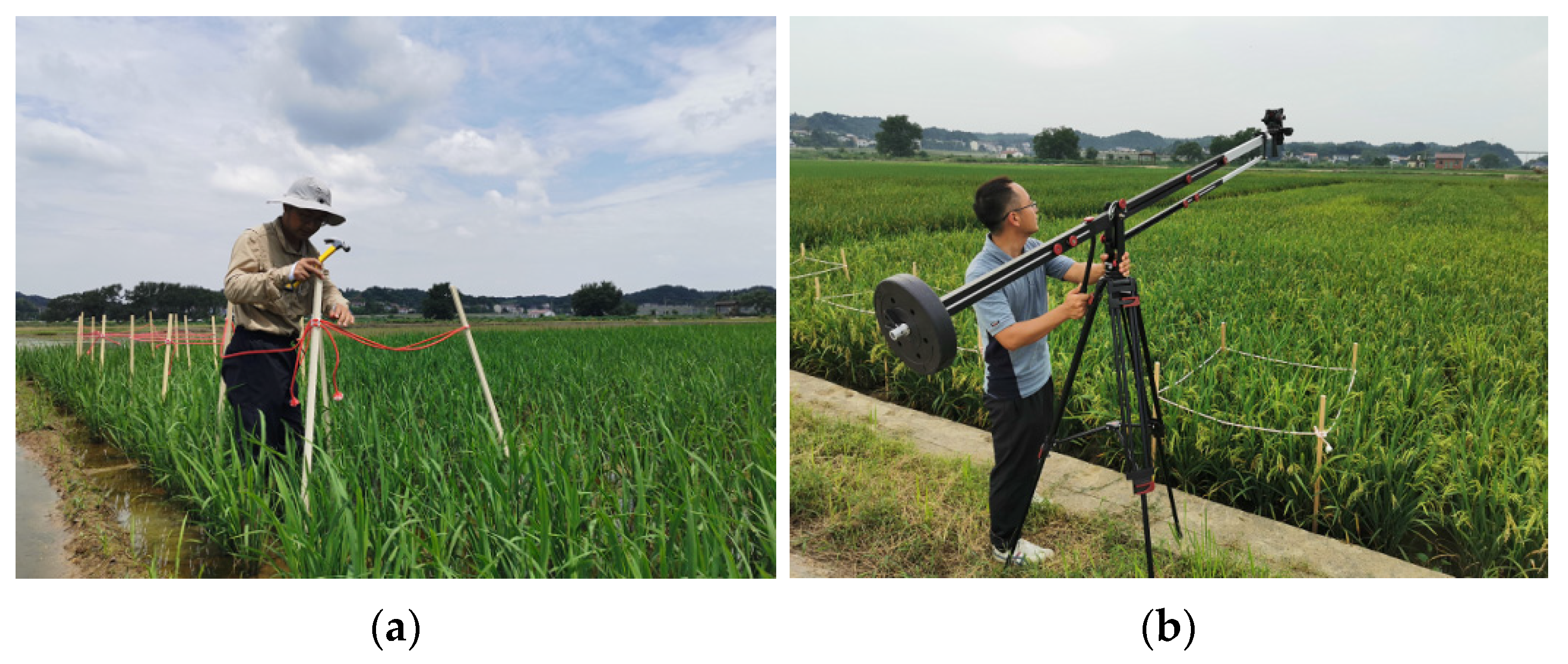 Agriculture 15 01270 g001