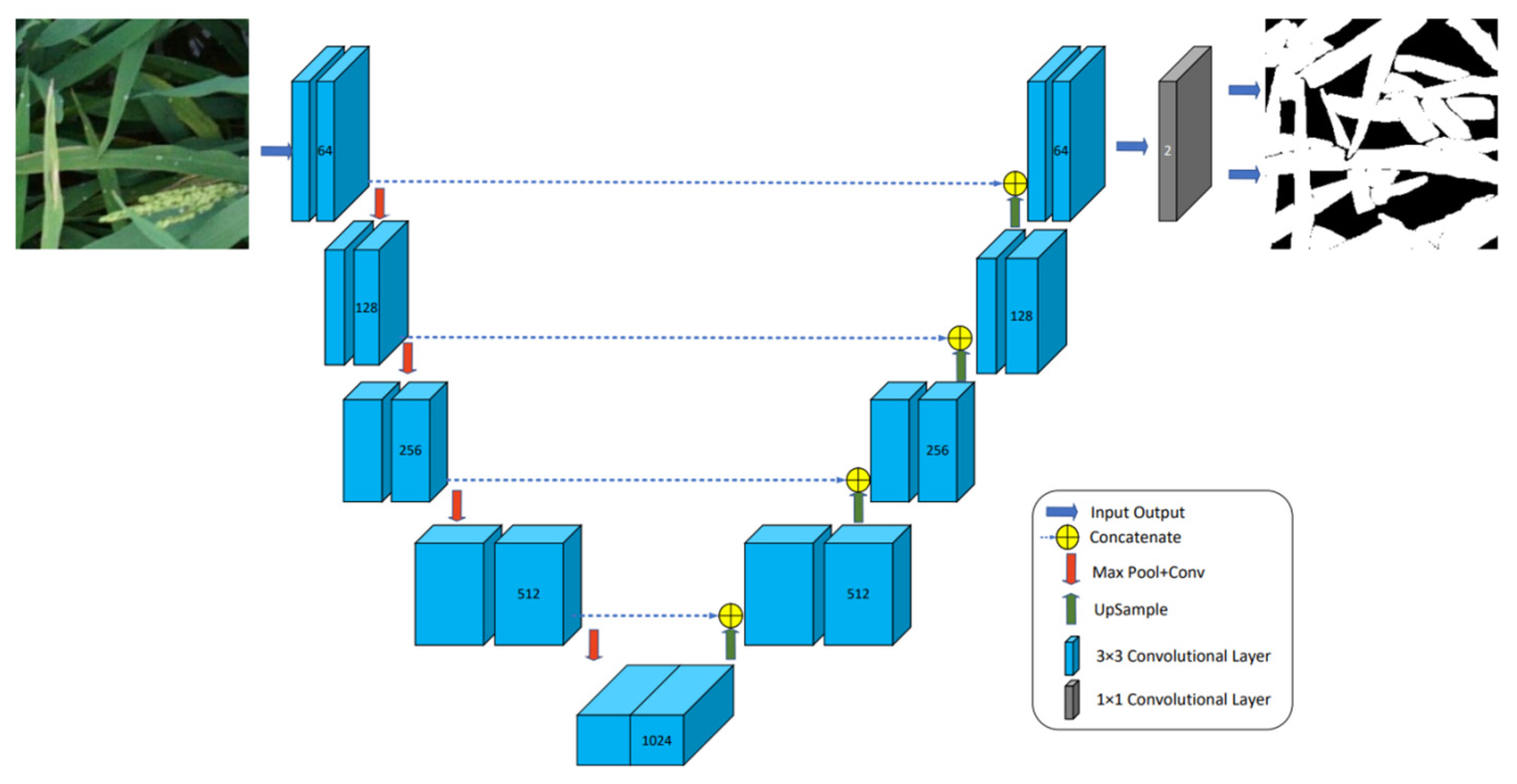 Agriculture 15 01270 g004
