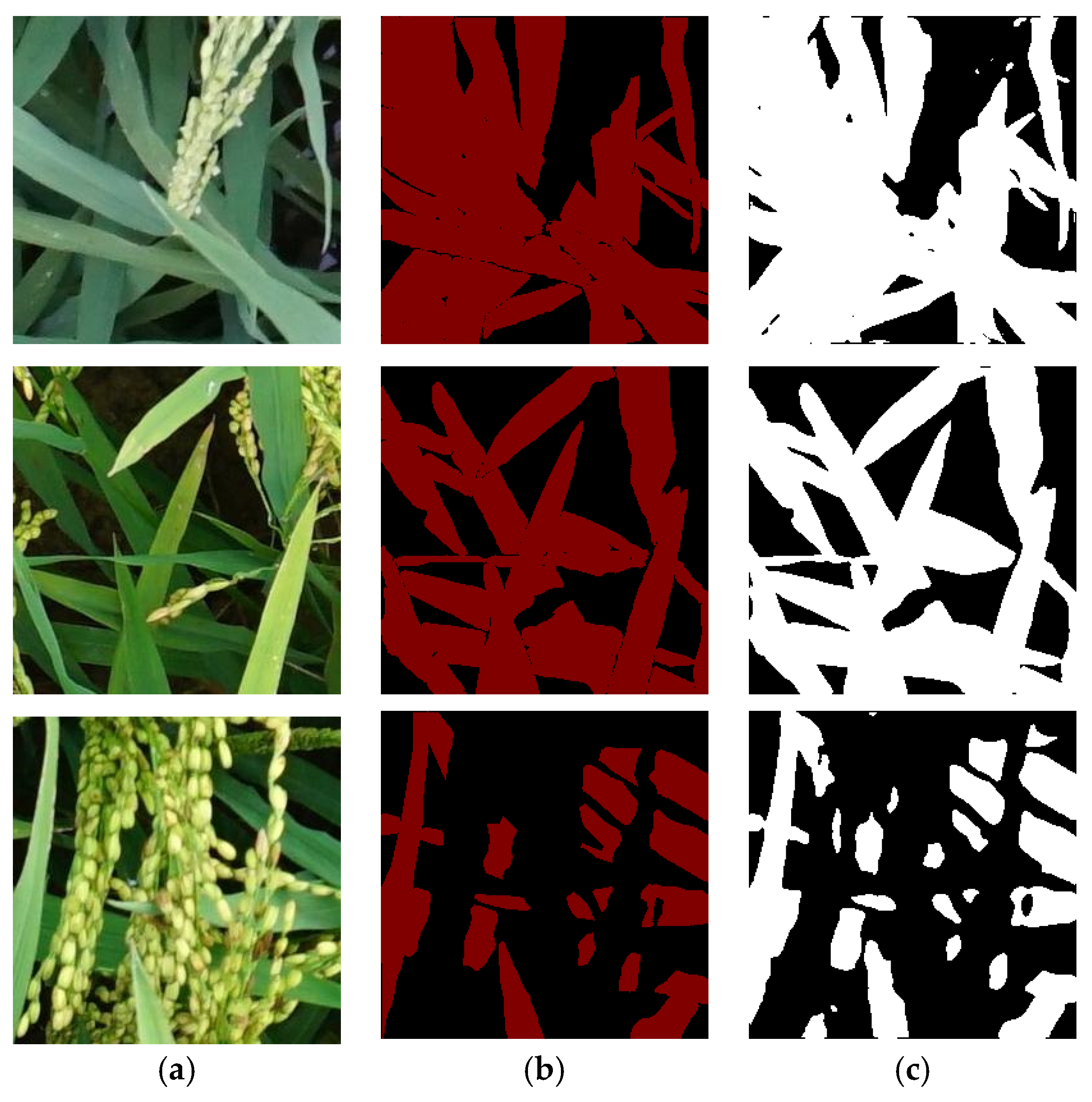 Agriculture 15 01270 g007