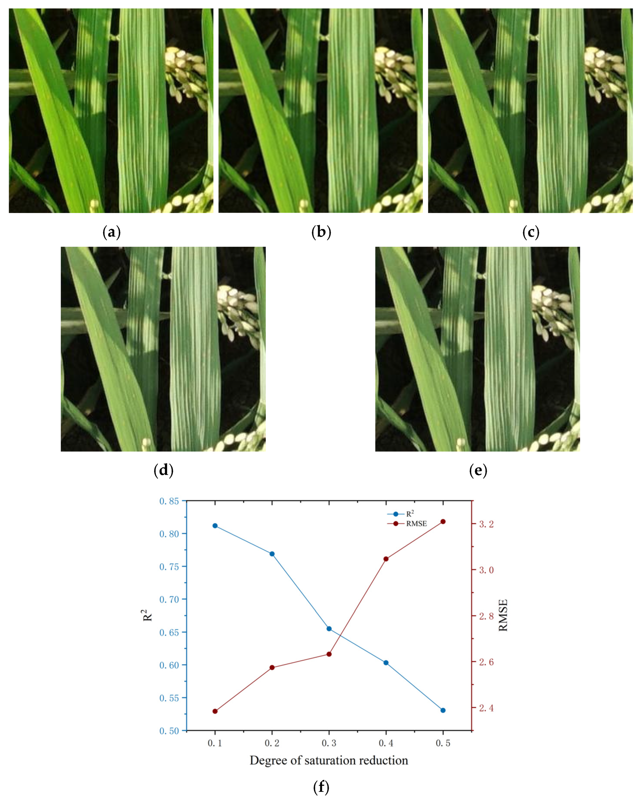 Agriculture 15 01270 g014