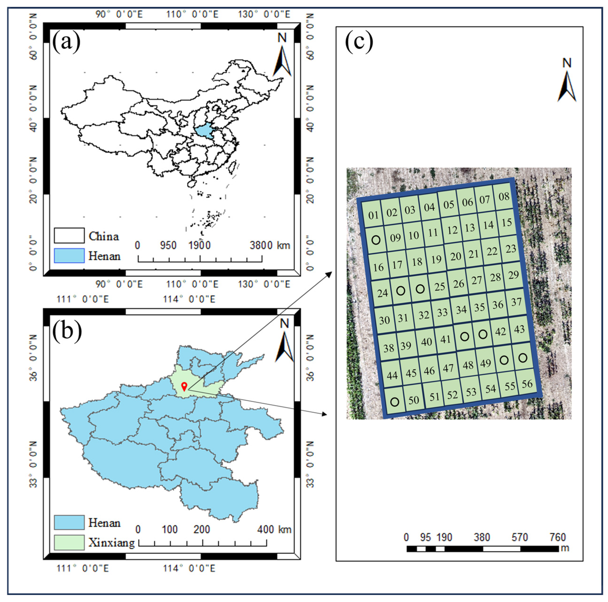 Agriculture 15 01272 g001