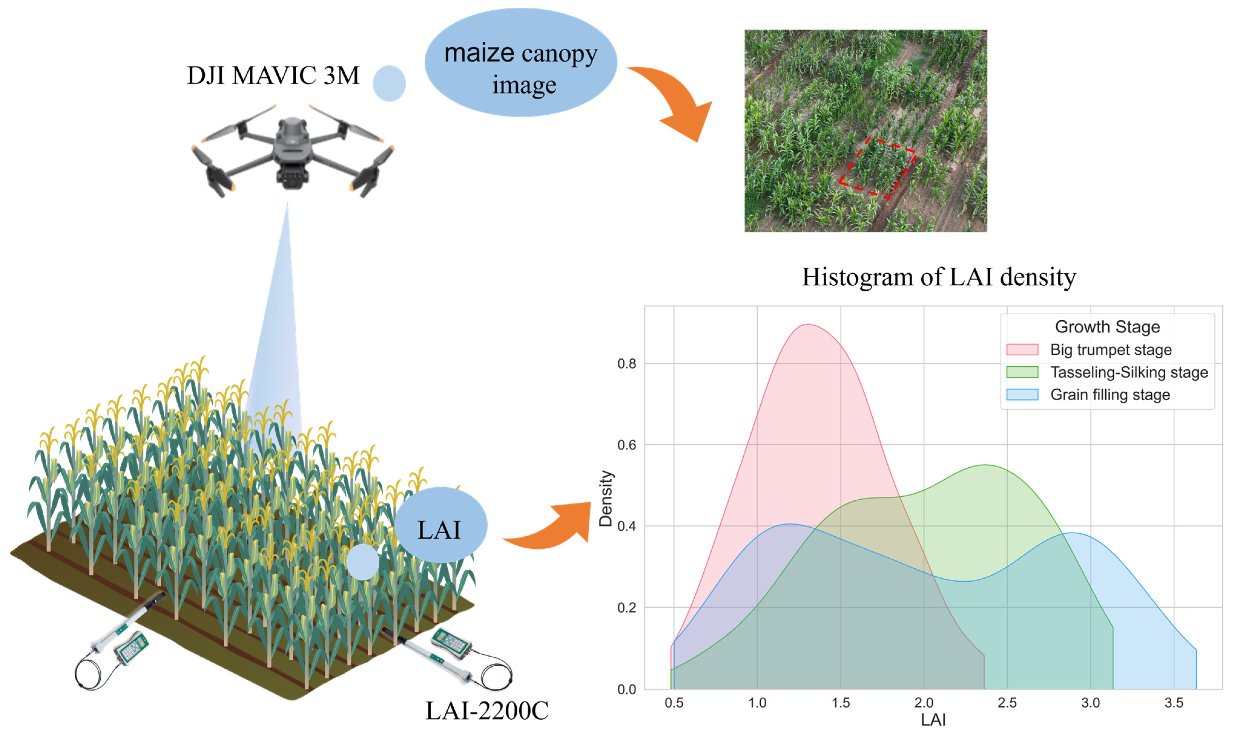 Agriculture 15 01272 g002