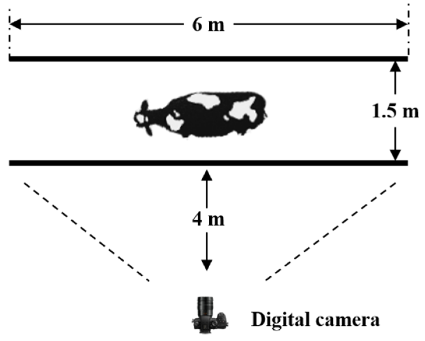 Agriculture 15 01276 g001