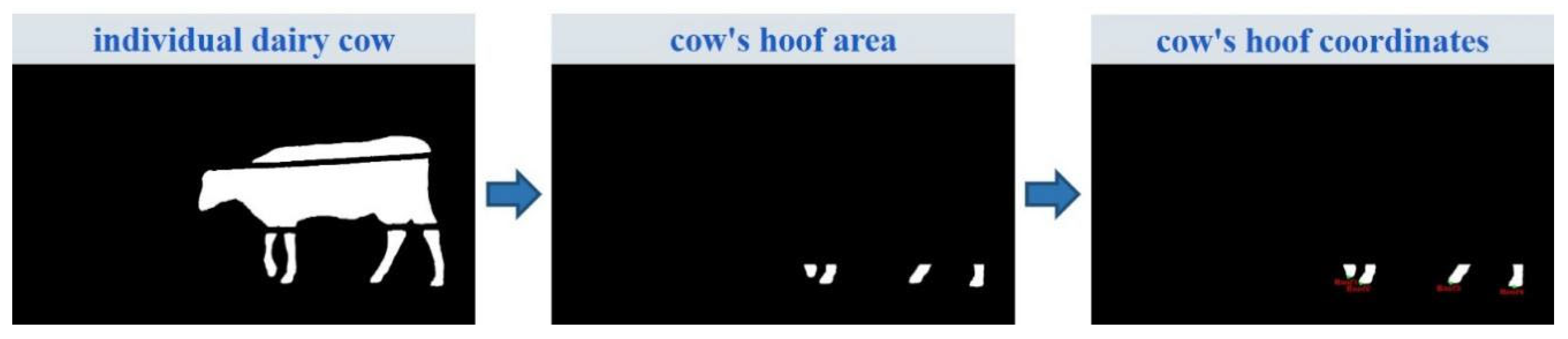 Agriculture 15 01276 g004