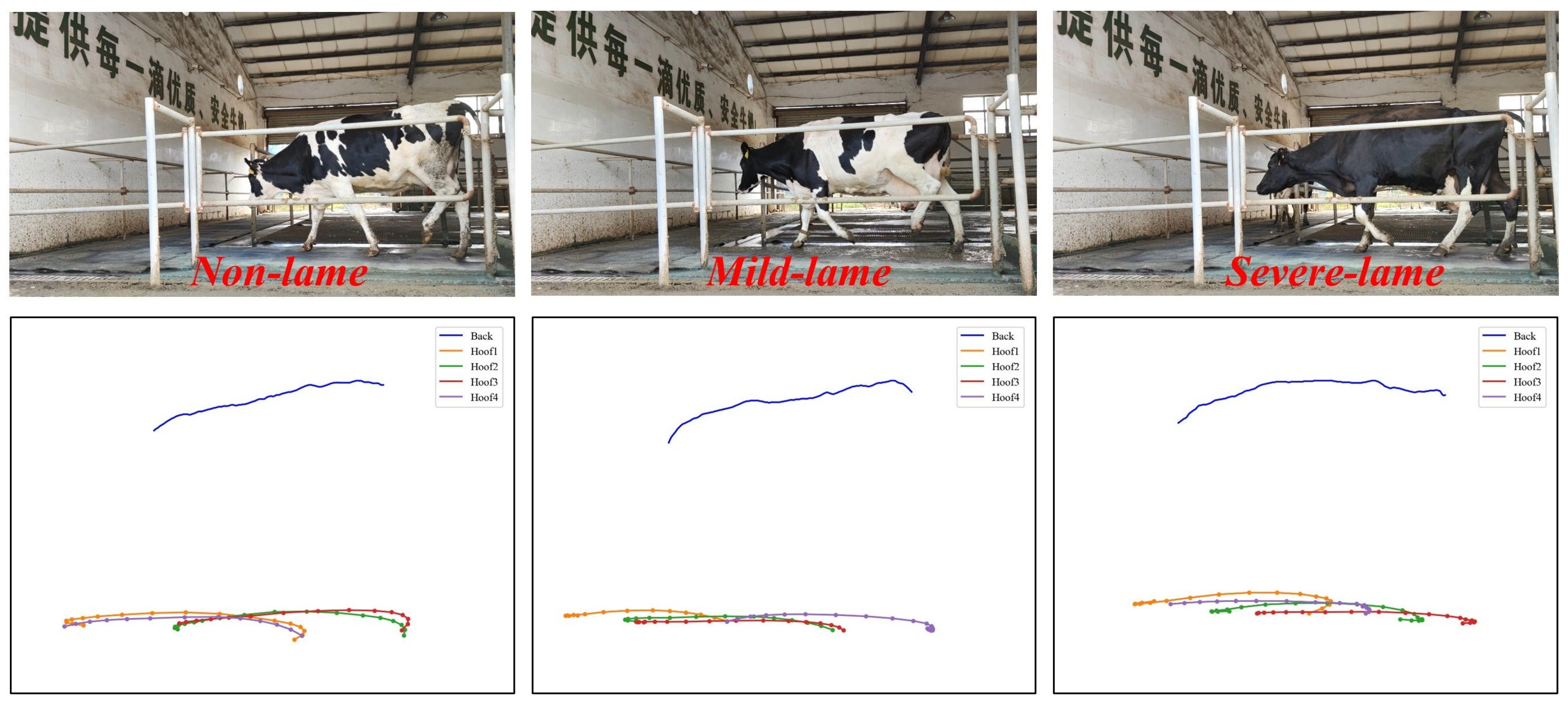 Agriculture 15 01276 g008