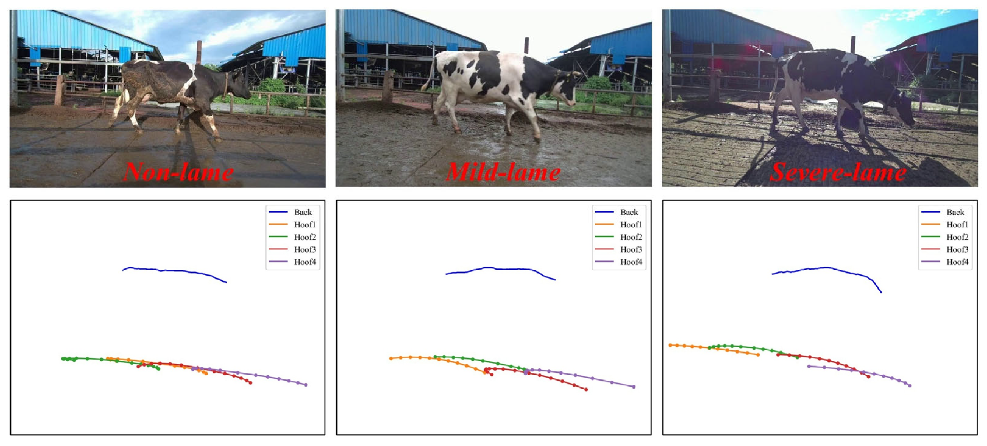 Agriculture 15 01276 g011