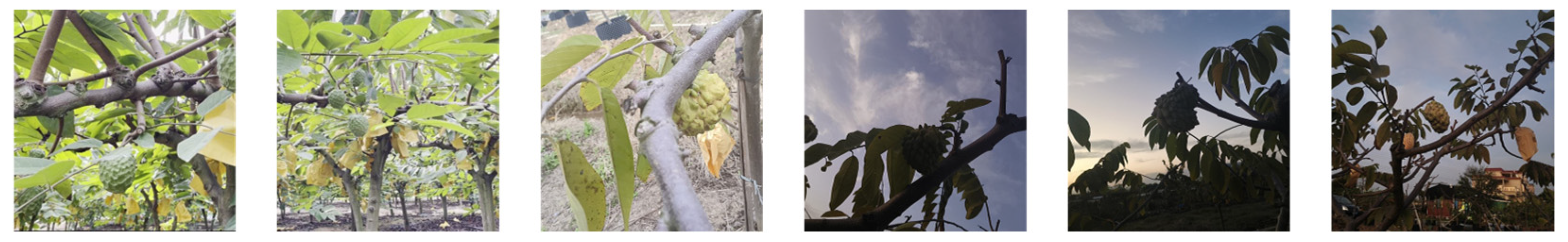 Agriculture 15 01278 g002