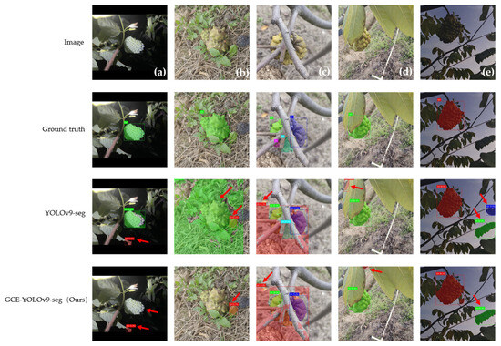Instance Segmentation of Sugar Apple (Annona squamosa) in Natural
