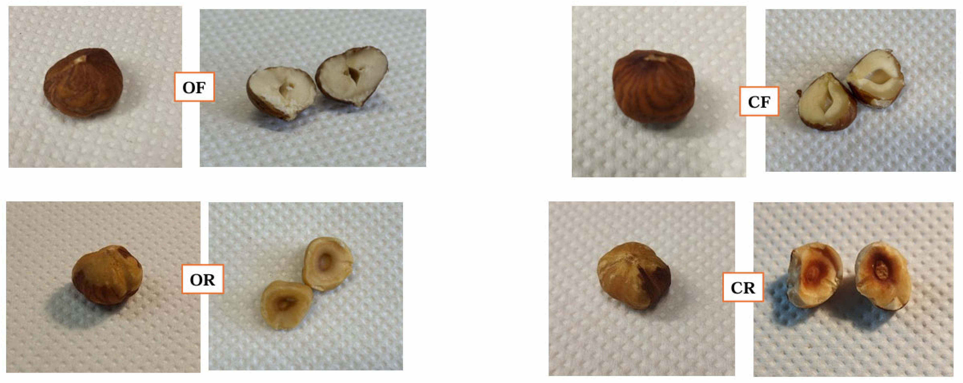 Agriculture 15 01279 g001