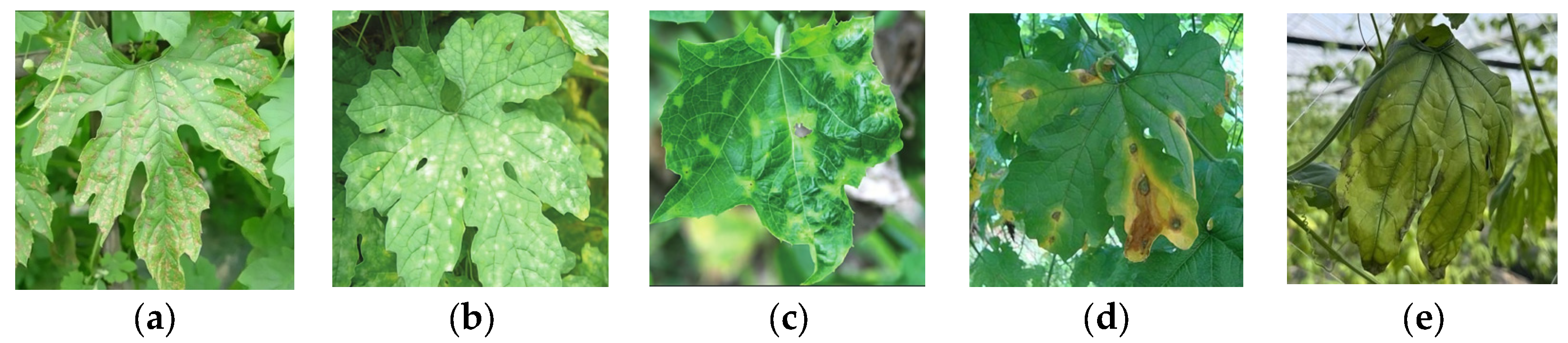 Agriculture 15 01281 g002