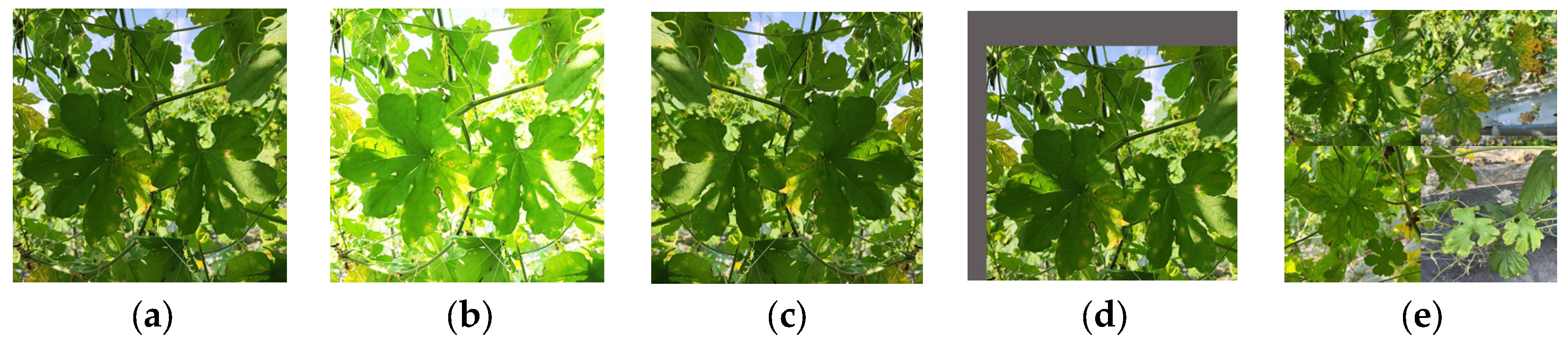 Agriculture 15 01281 g003