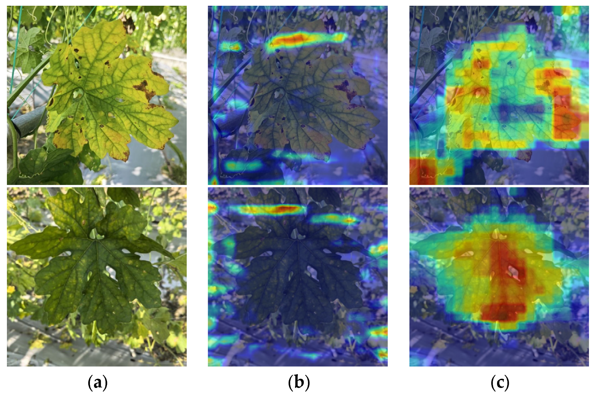 Agriculture 15 01281 g012
