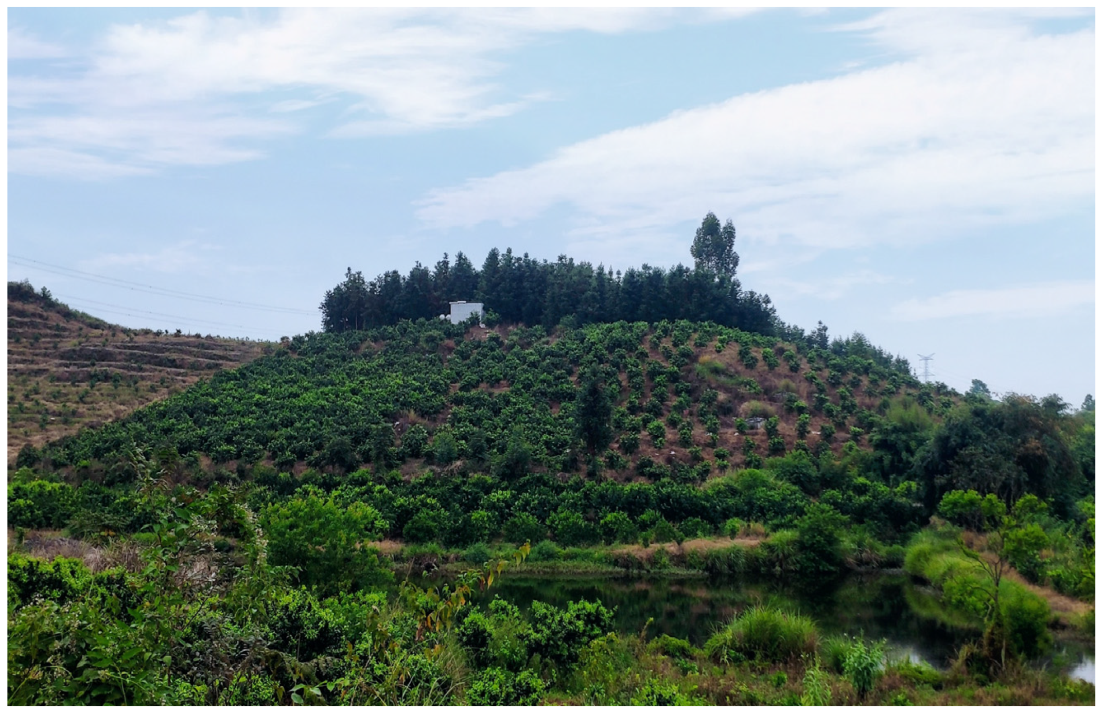 Agriculture 15 01283 g001