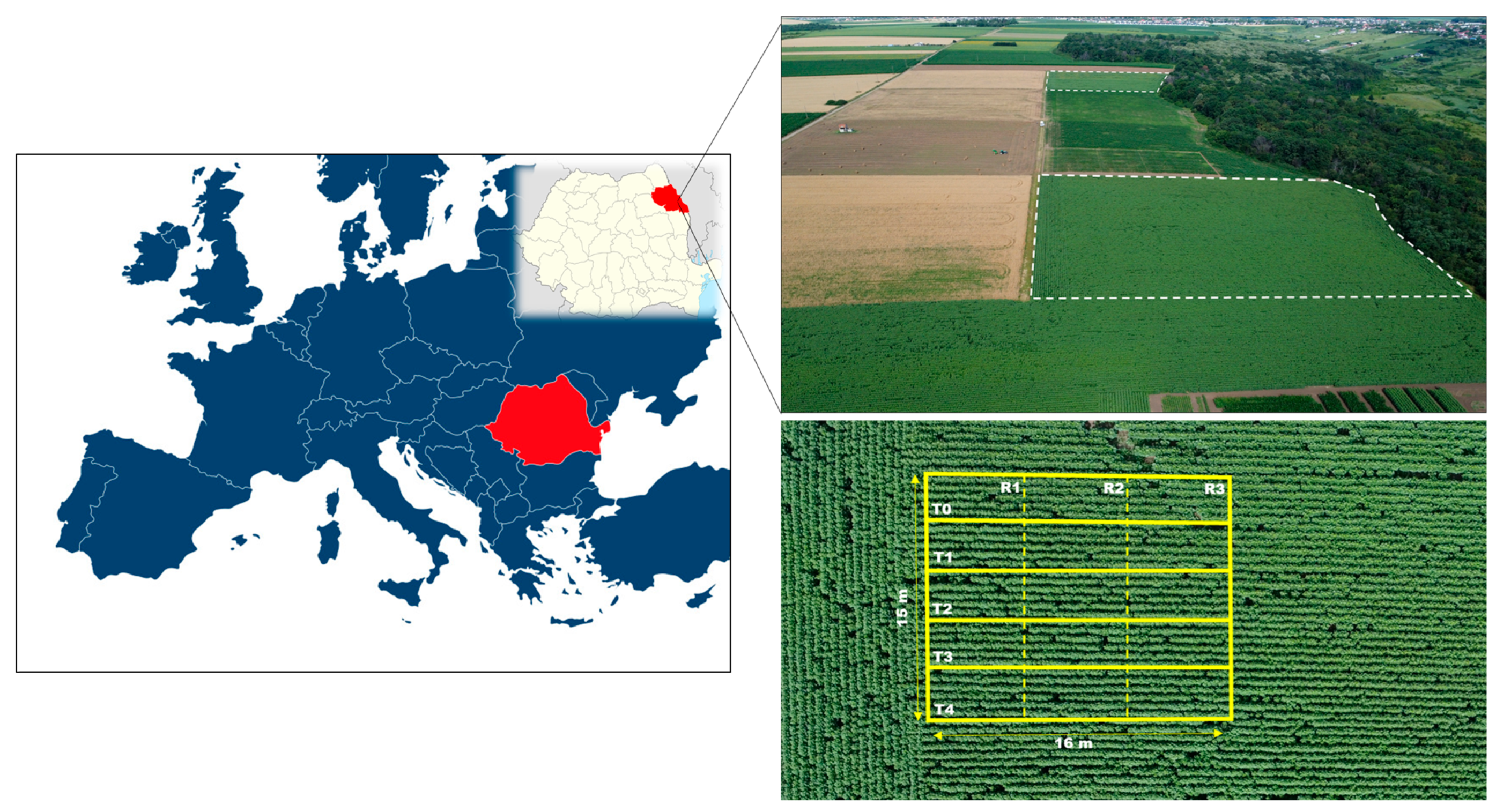 Agriculture 15 01285 g001