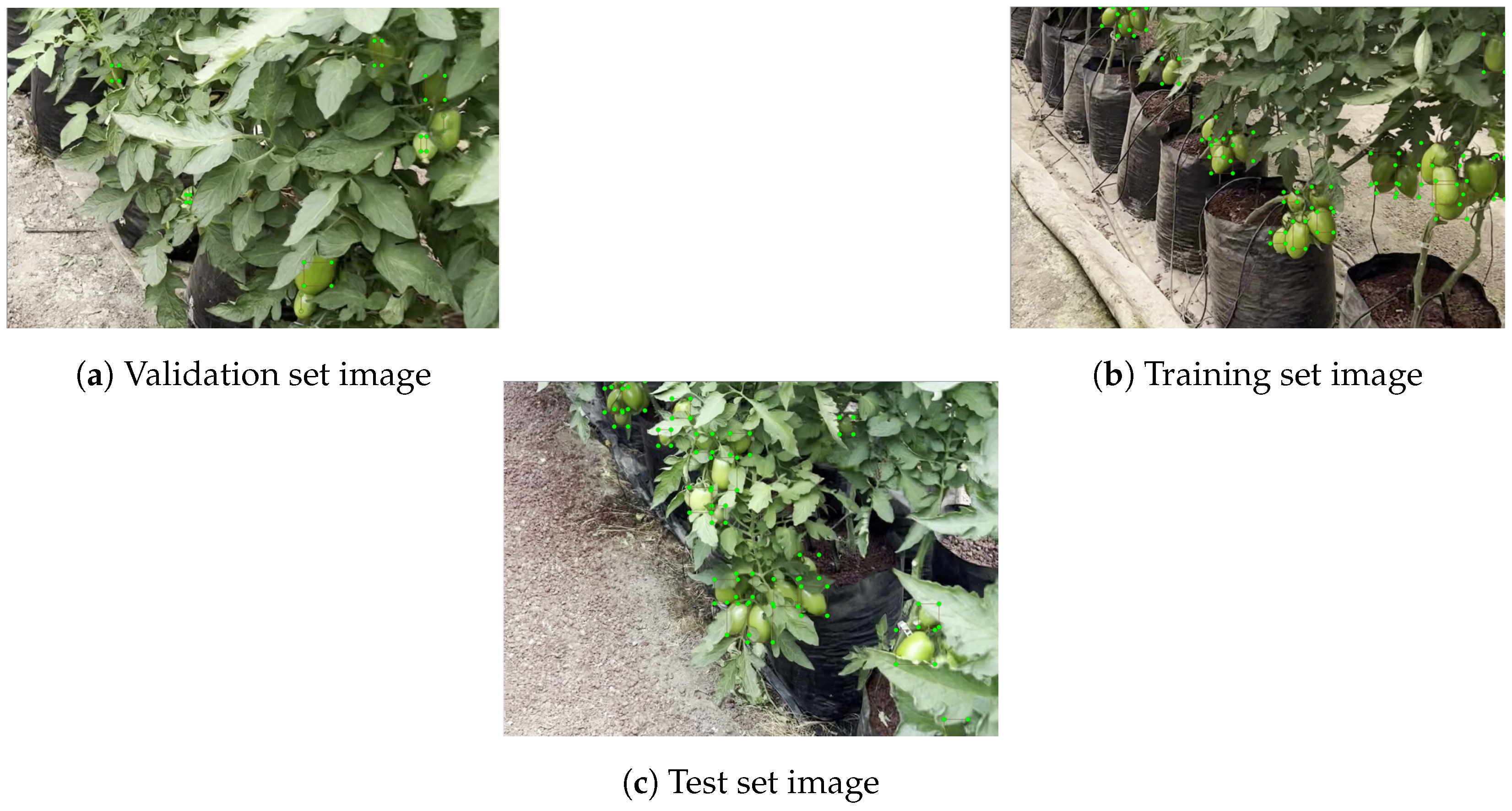 Agriculture 15 01291 g004