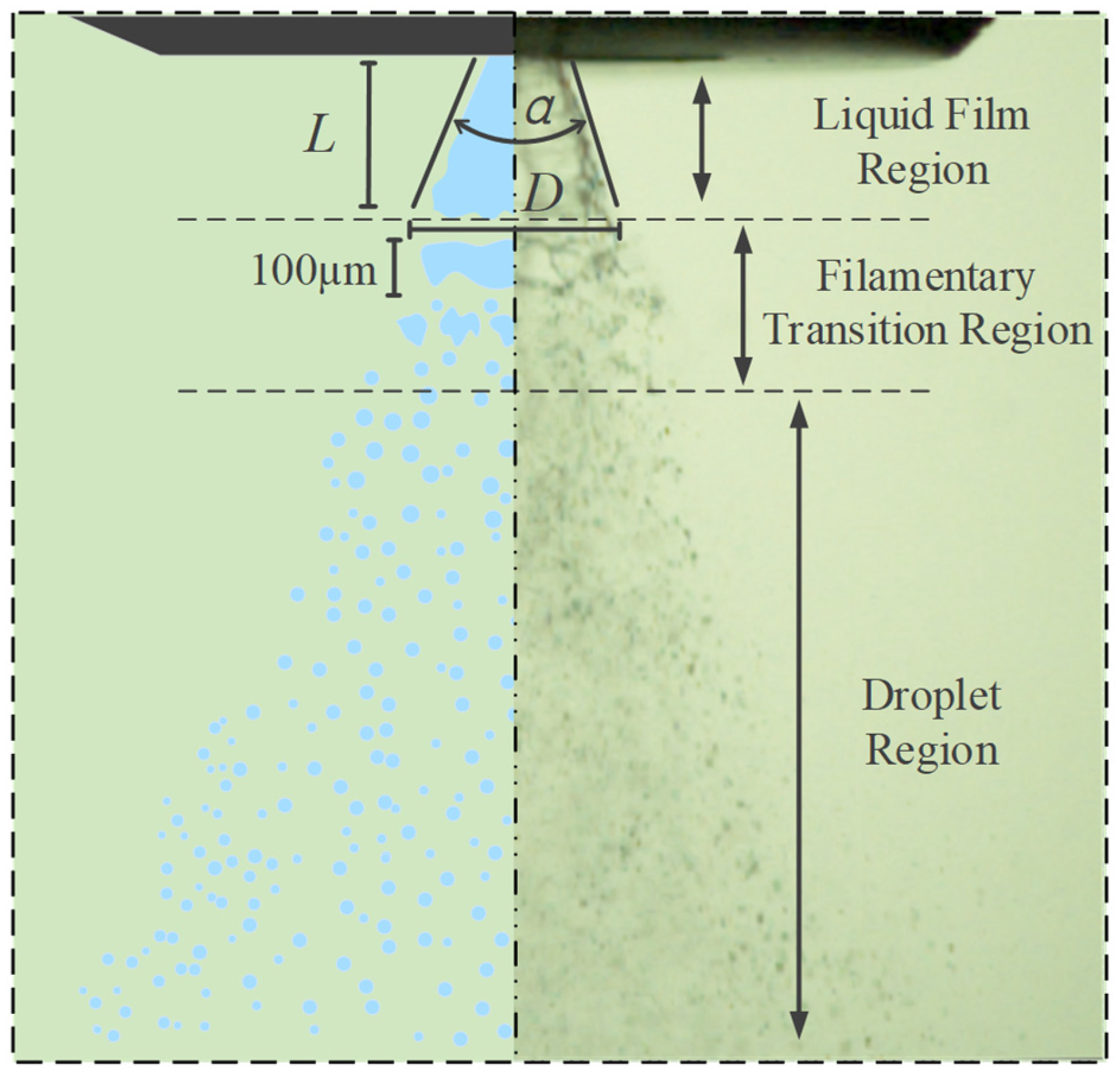 Agriculture 15 01293 g003