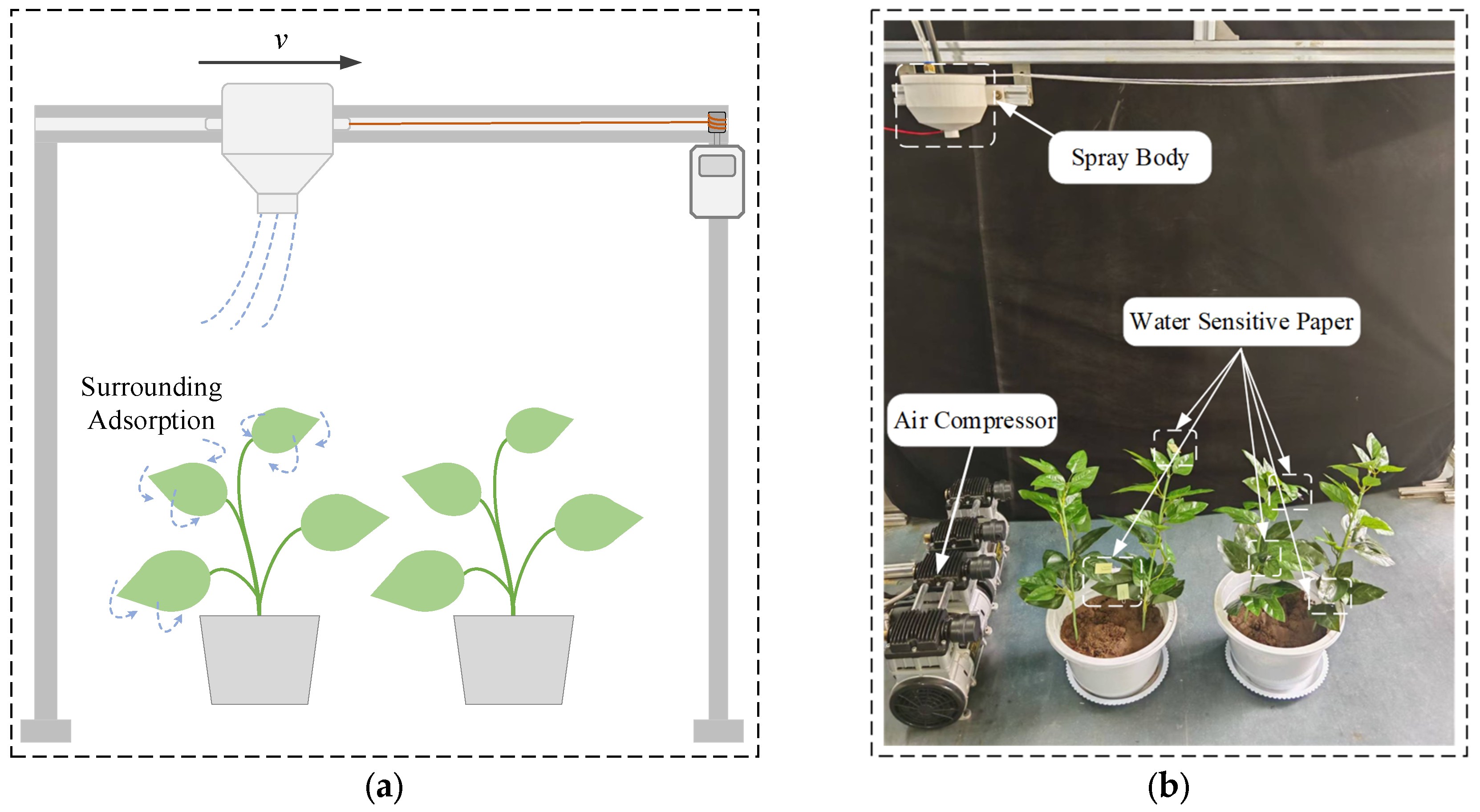 Agriculture 15 01293 g006