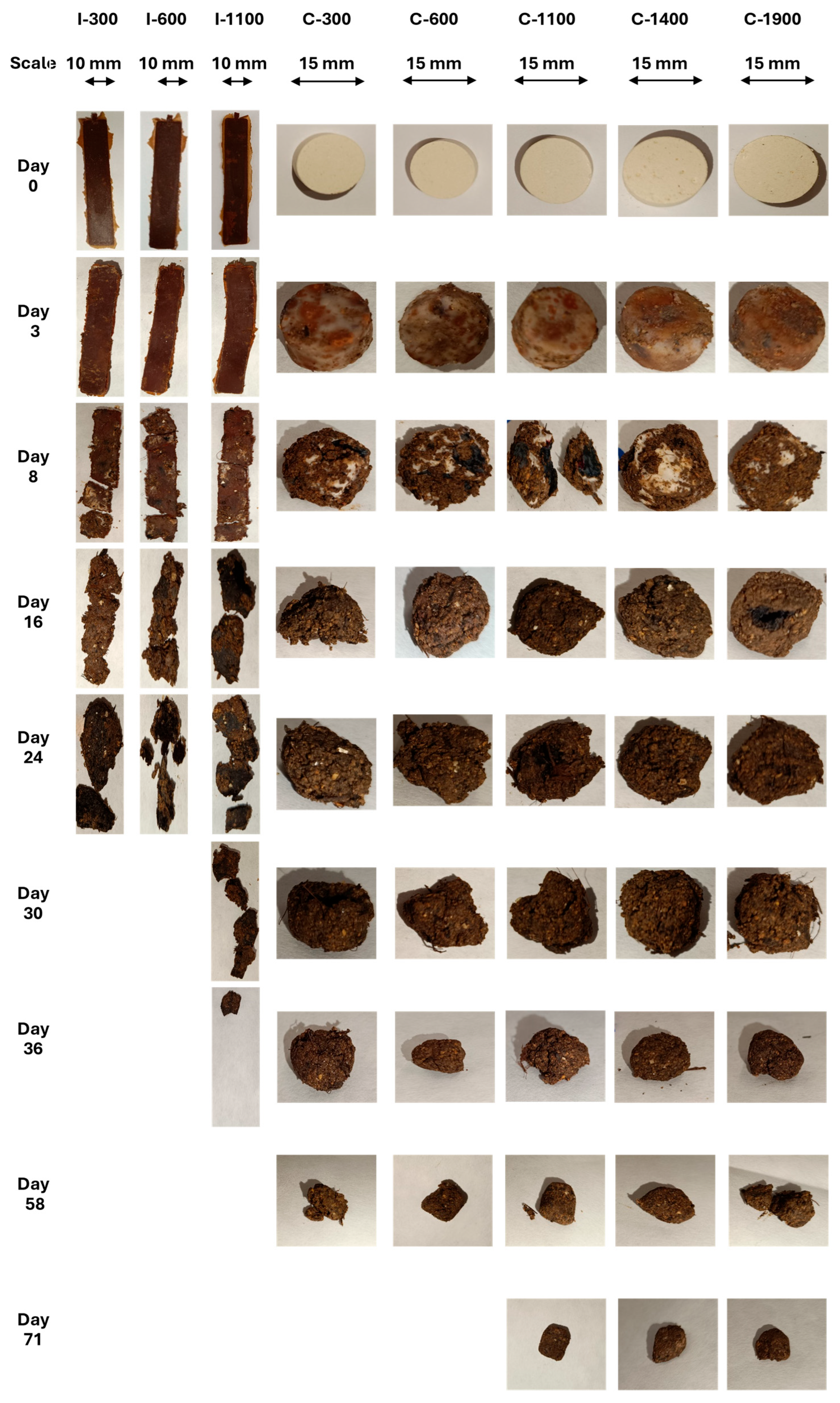 Agriculture 15 01298 g007