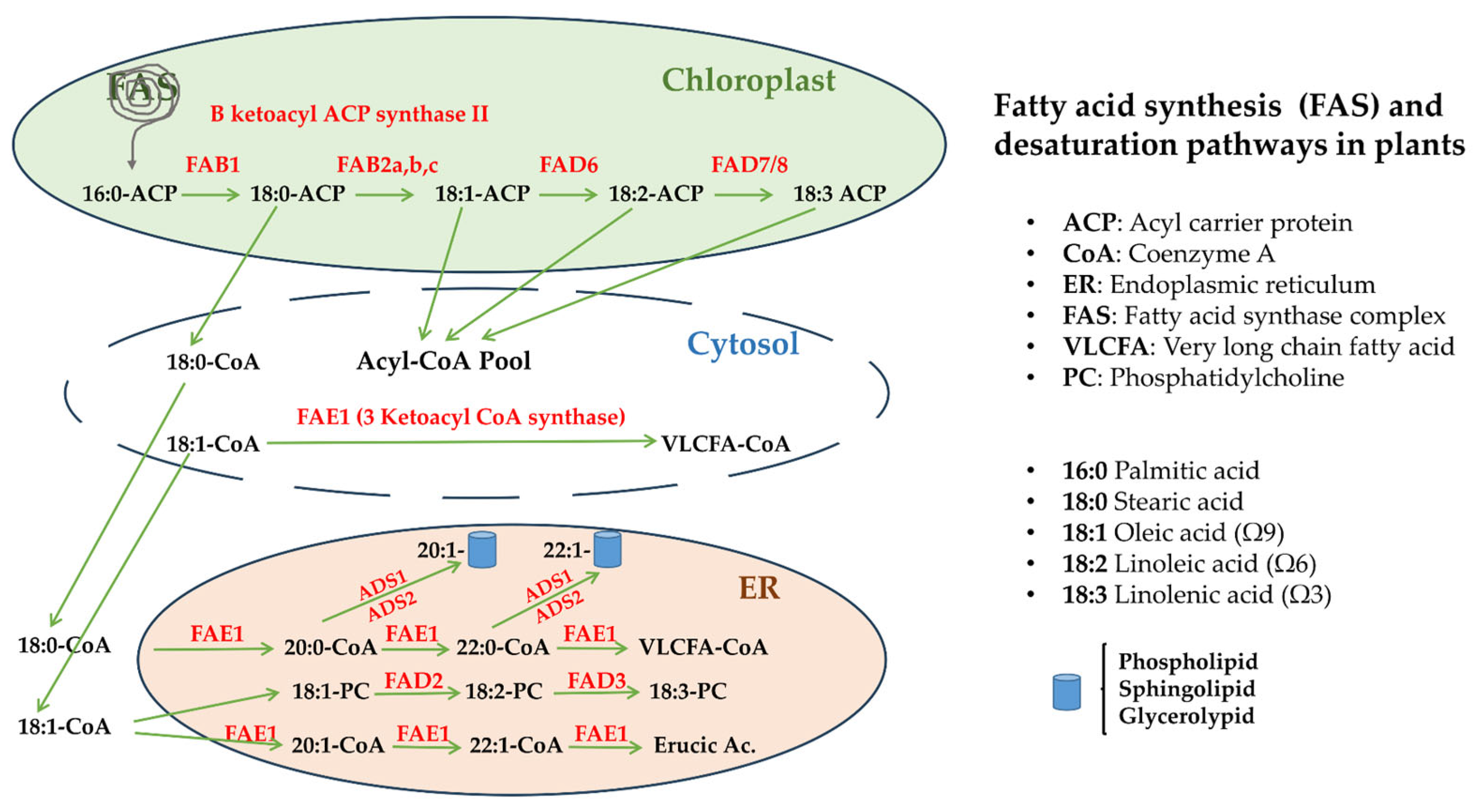 Agriculture 15 01305 g001