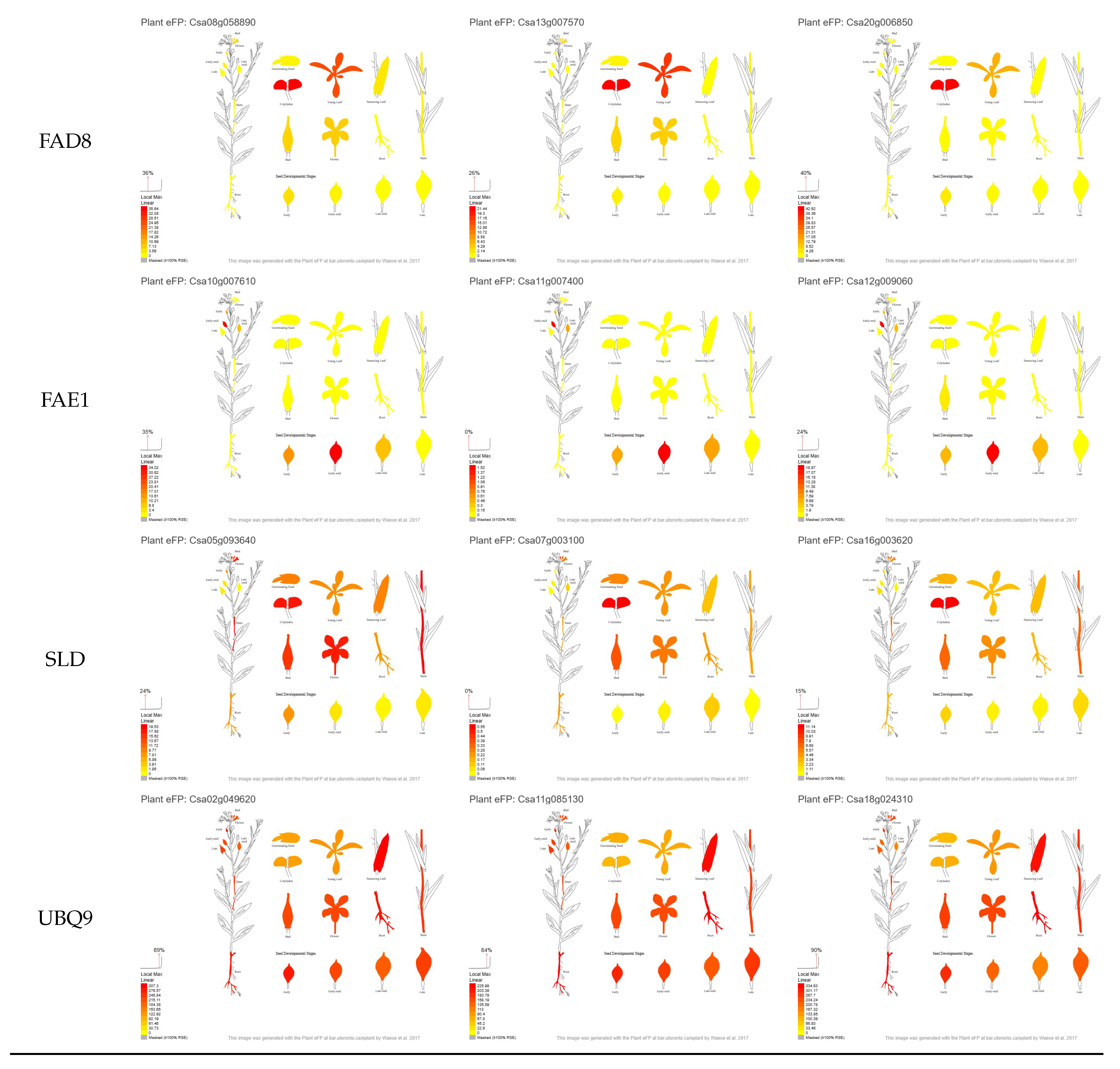 Agriculture 15 01305 g0a1c