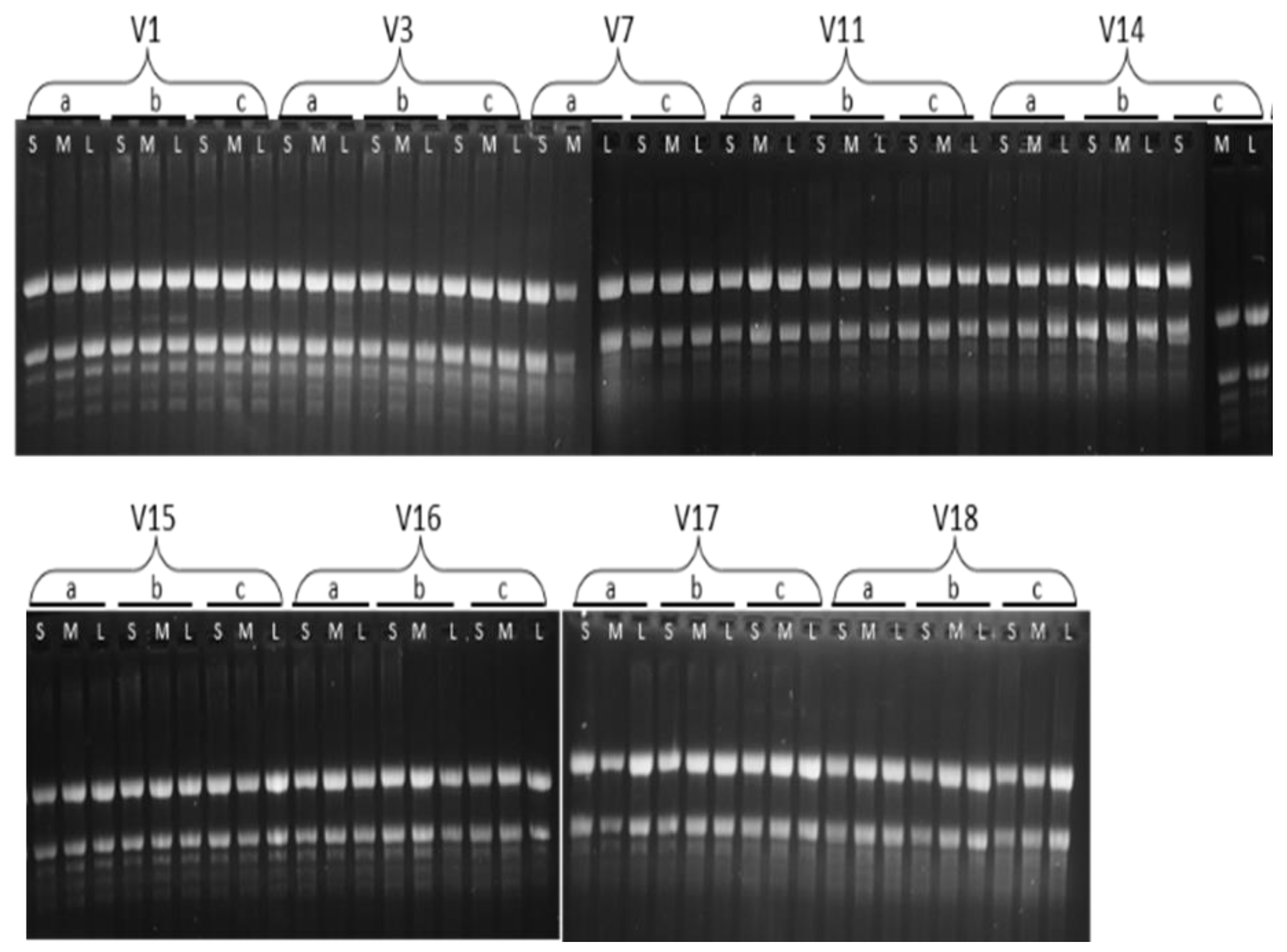 Agriculture 15 01305 g0a2