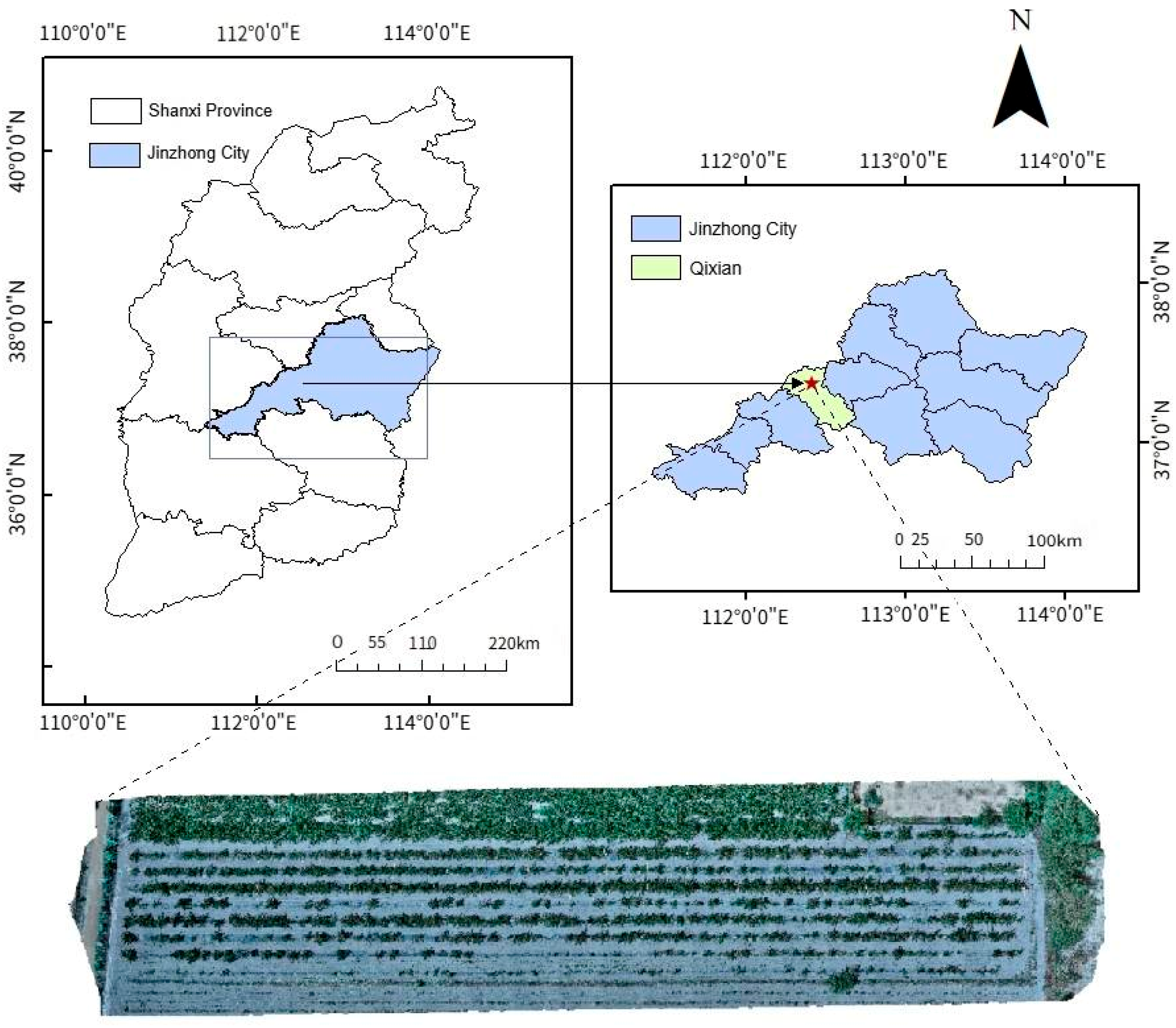 Agriculture 15 01308 g001