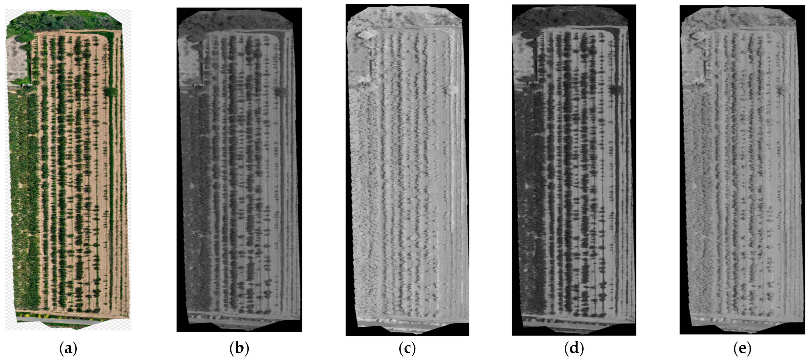 Agriculture 15 01308 g004