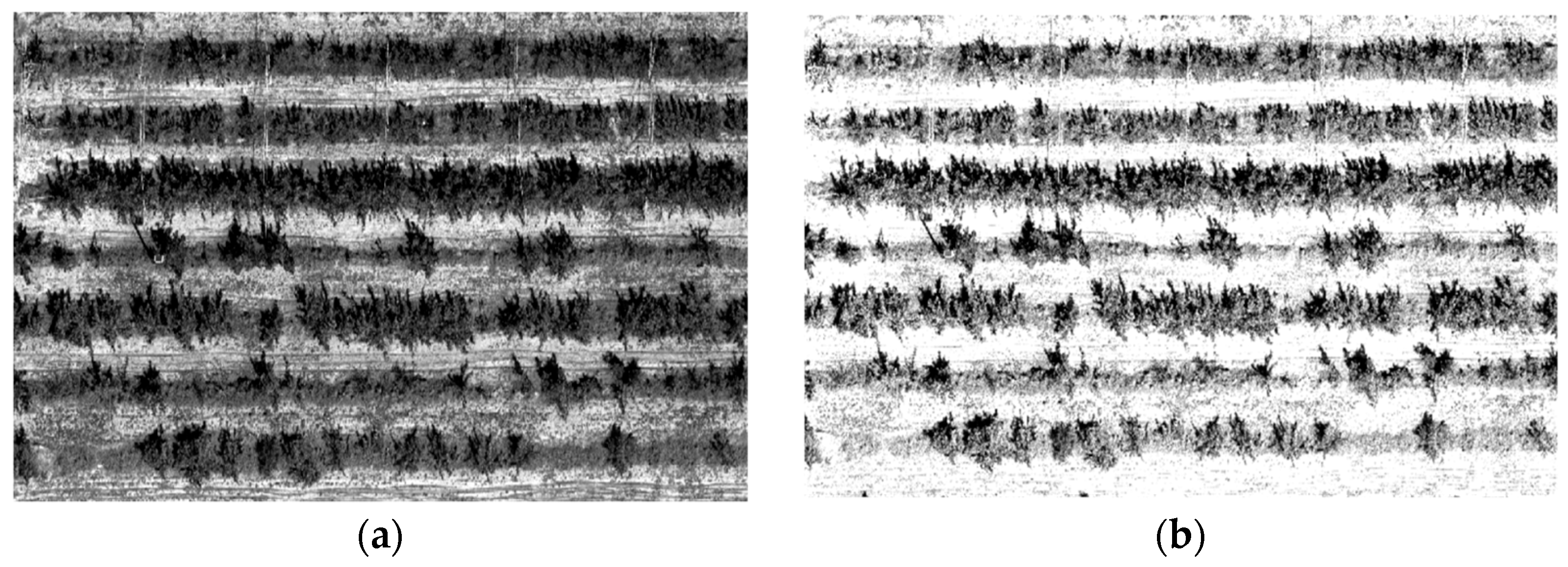 Agriculture 15 01308 g005