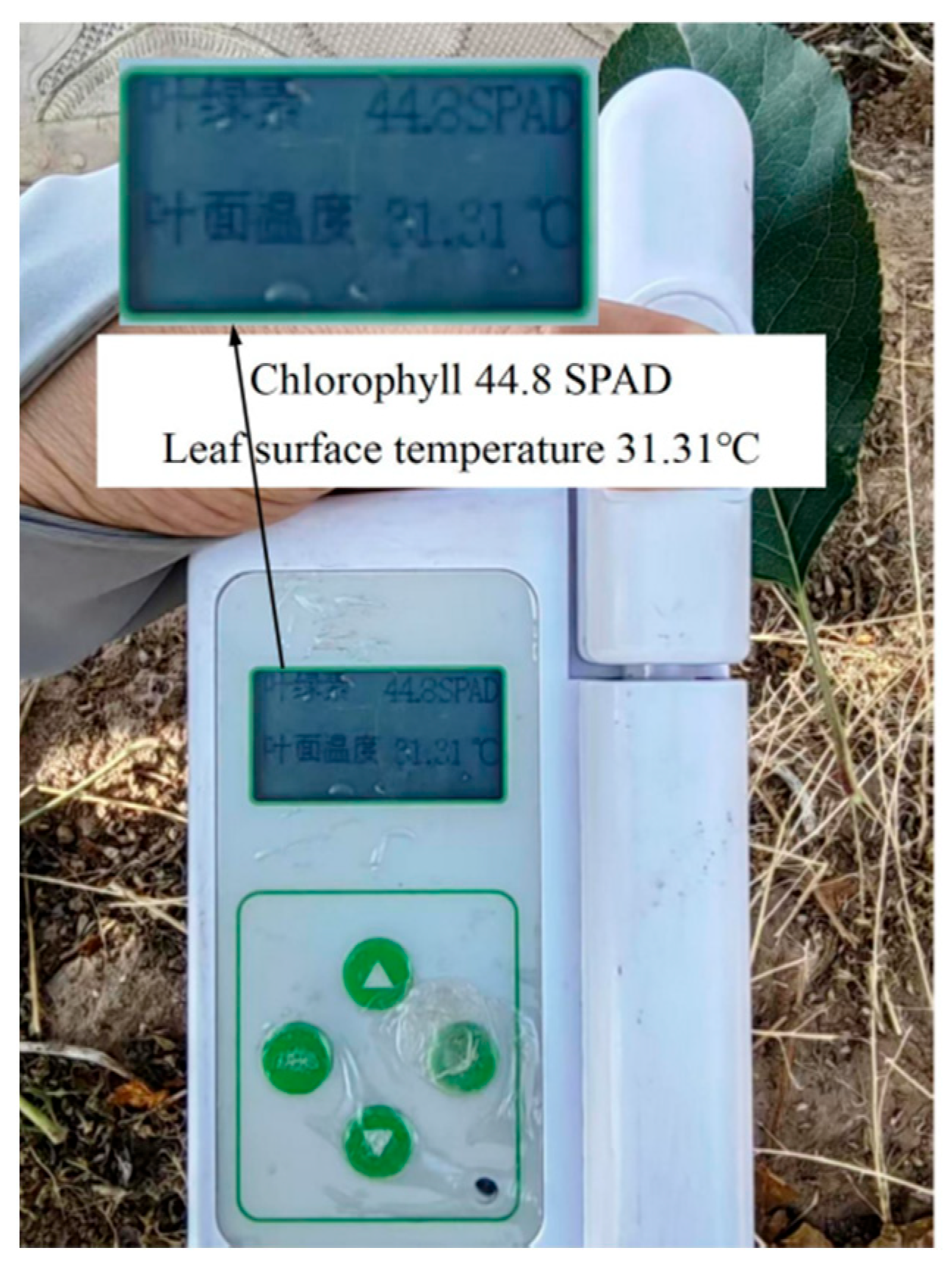 Agriculture 15 01308 g006