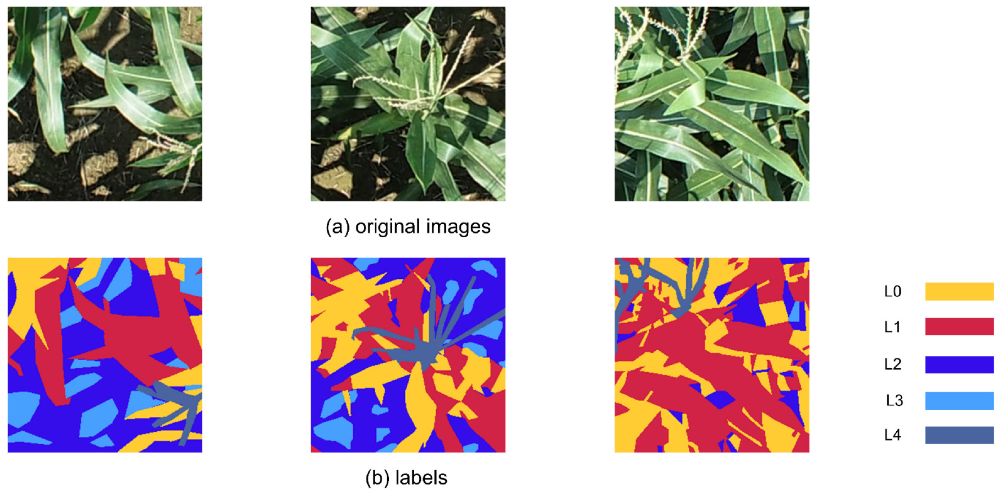 Agriculture 15 01309 g001