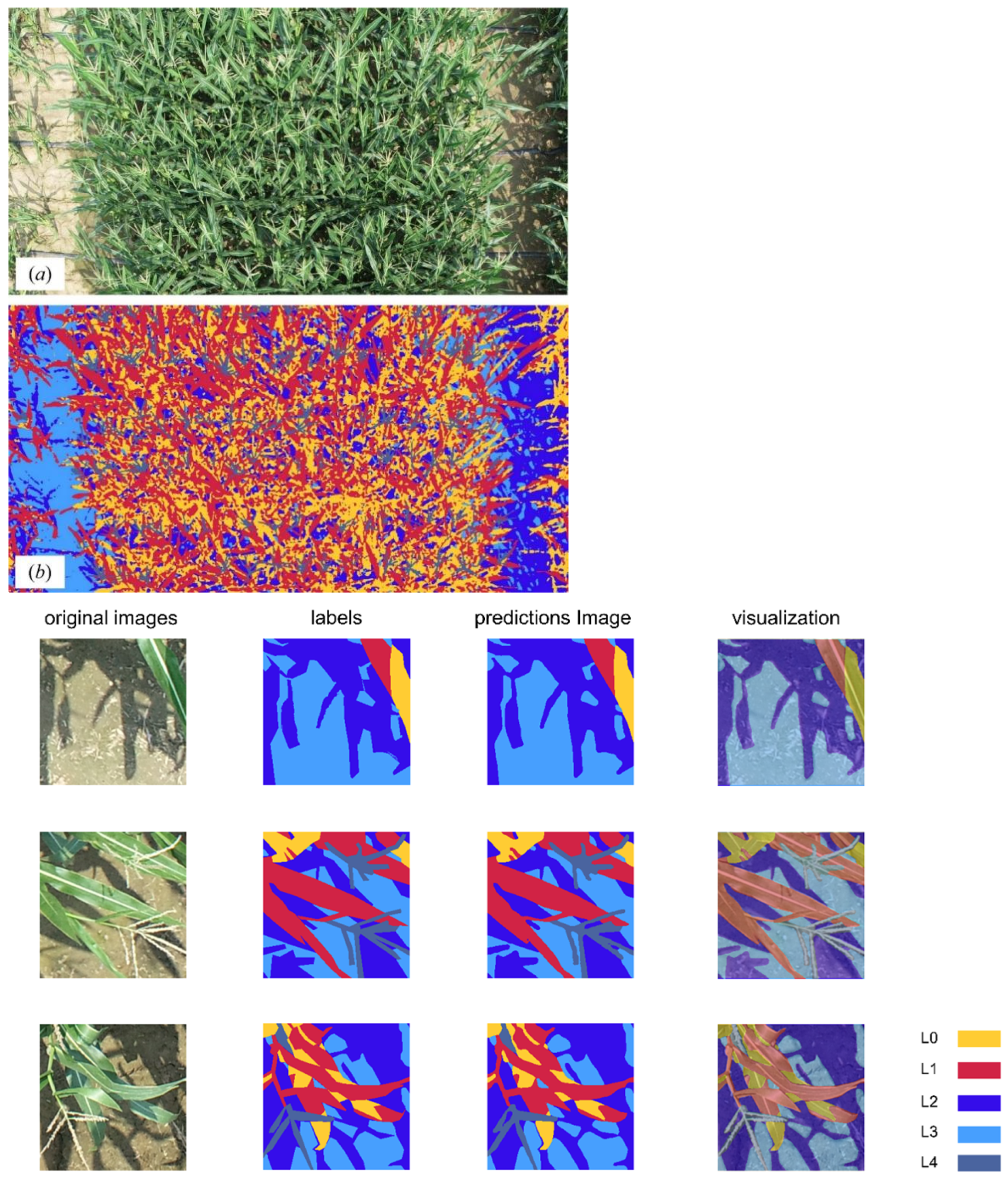 Agriculture 15 01309 g005