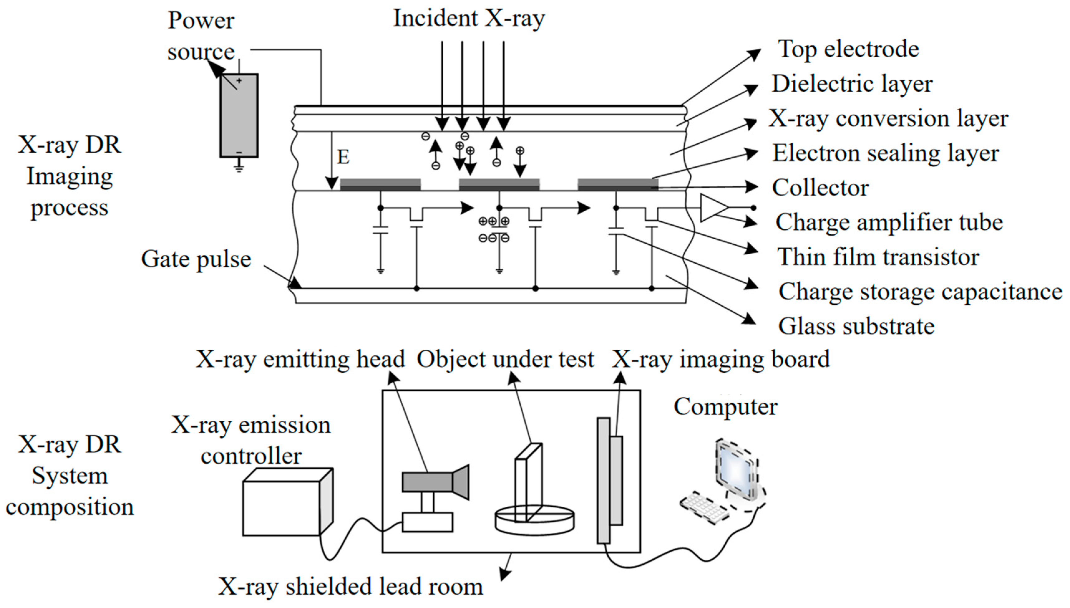 Agriculture 15 01315 g001