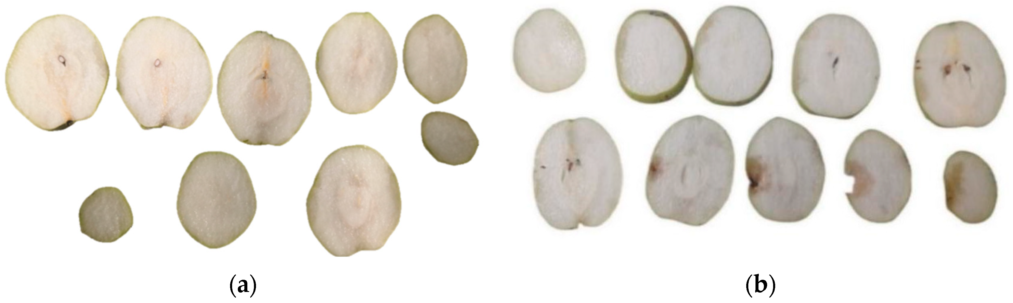 Agriculture 15 01315 g002