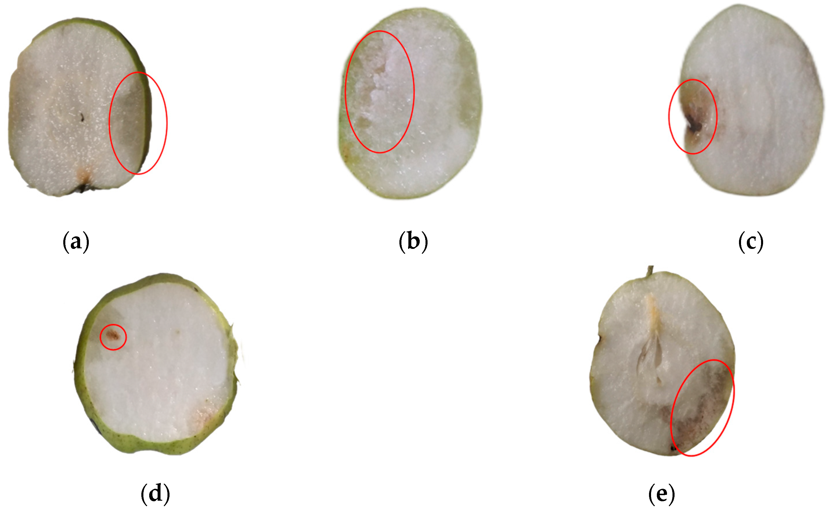 Agriculture 15 01315 g003
