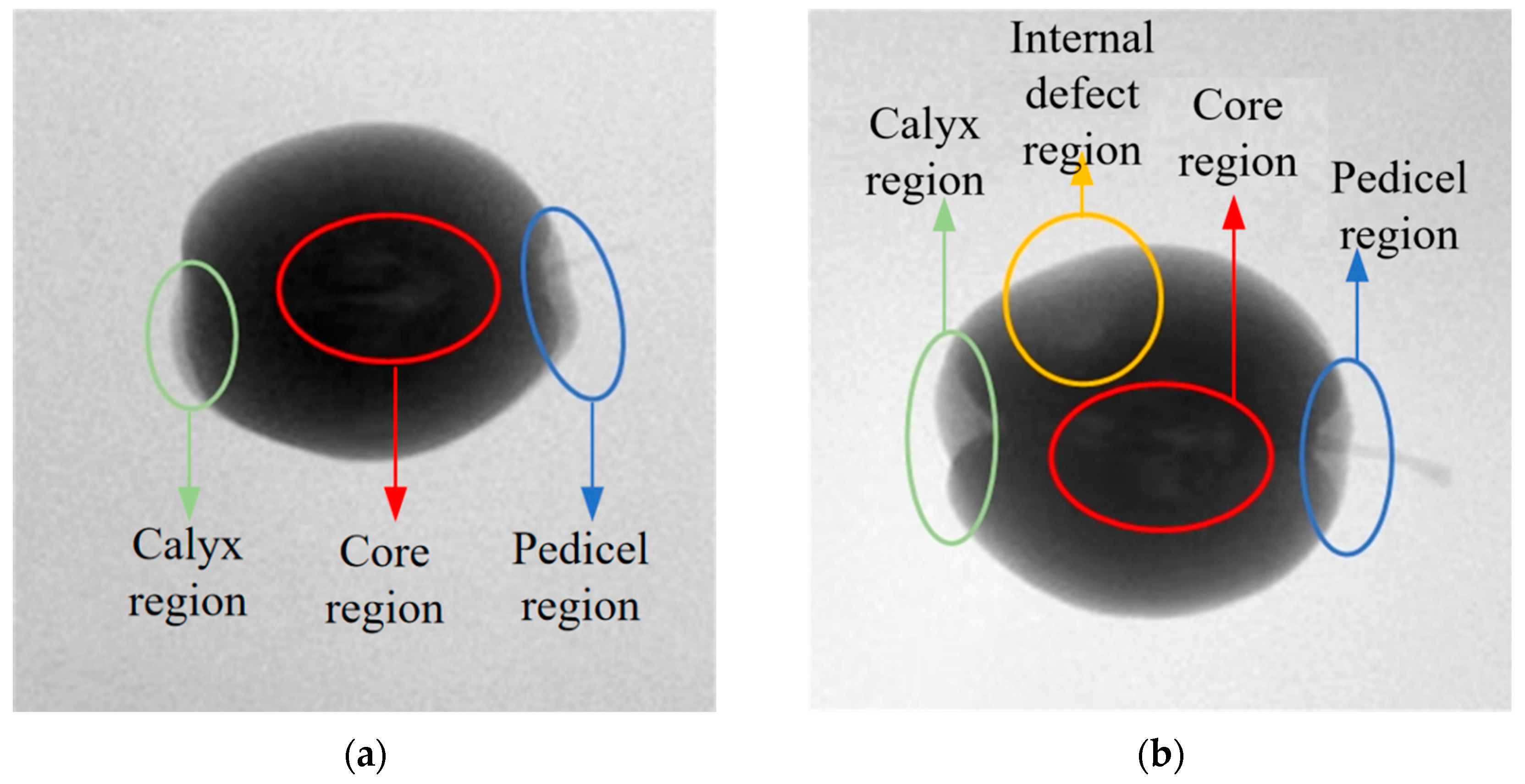 Agriculture 15 01315 g004