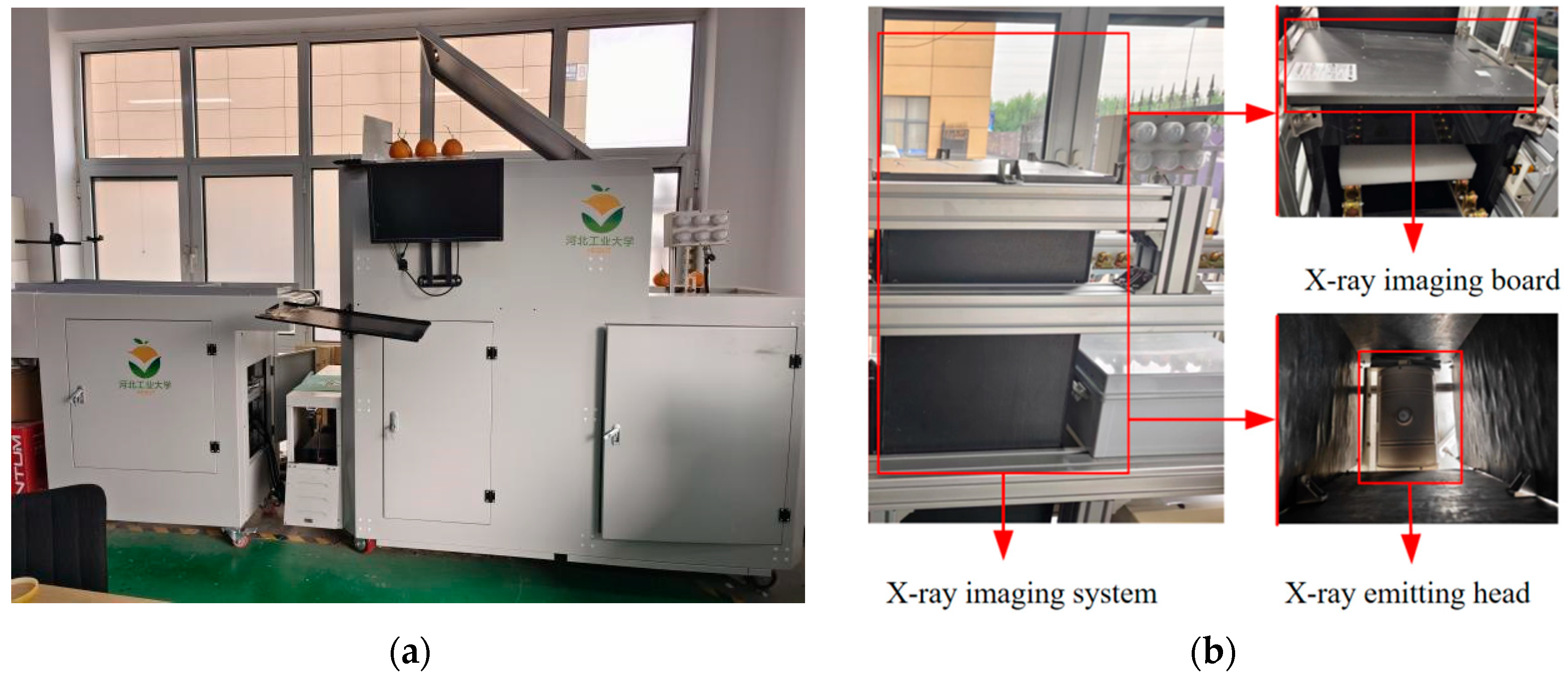 Agriculture 15 01315 g008