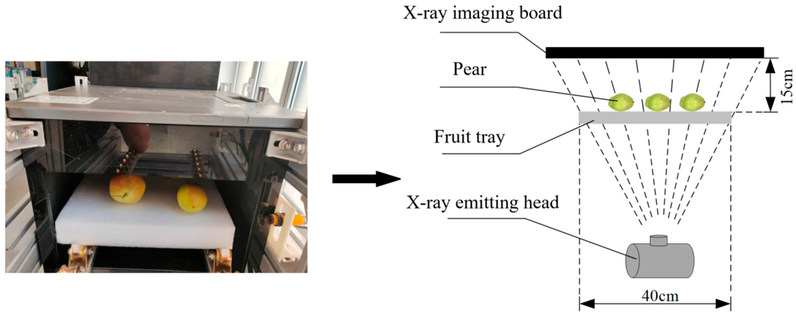 Agriculture 15 01315 g009