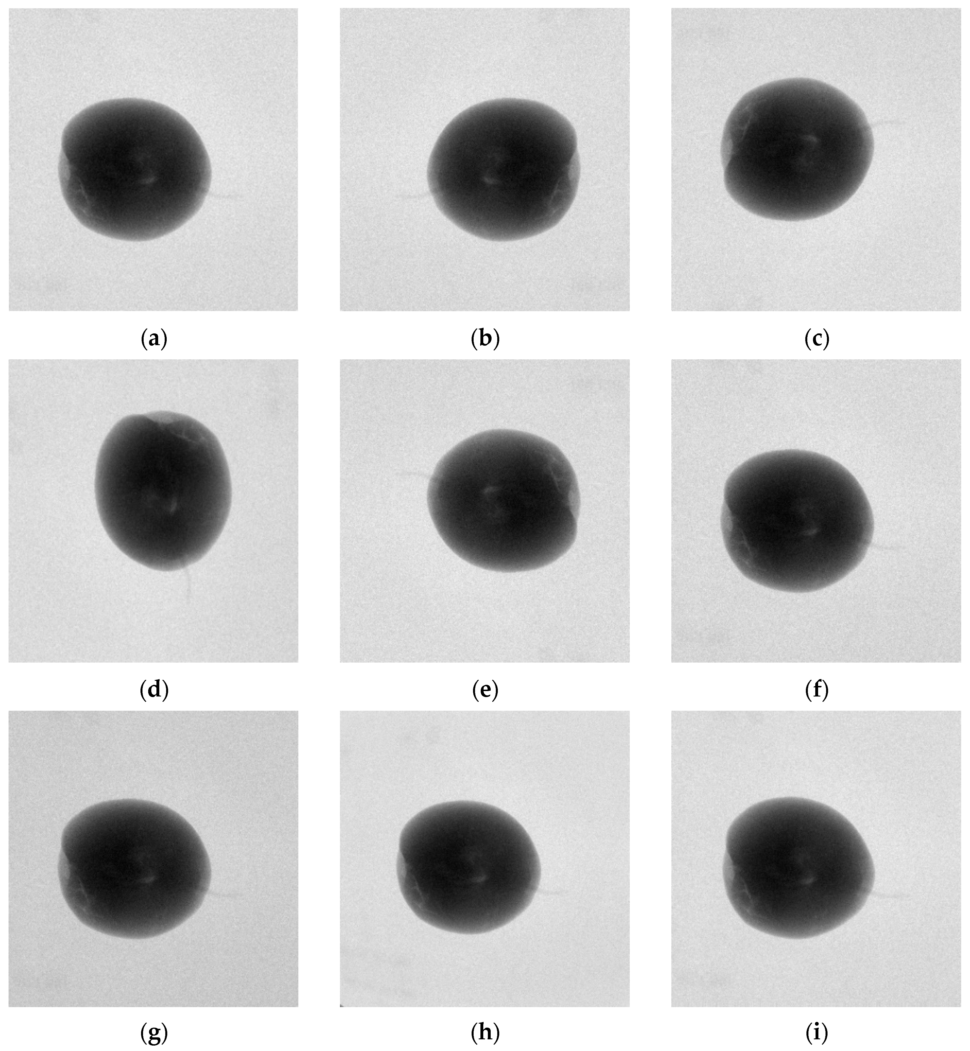 Agriculture 15 01315 g011