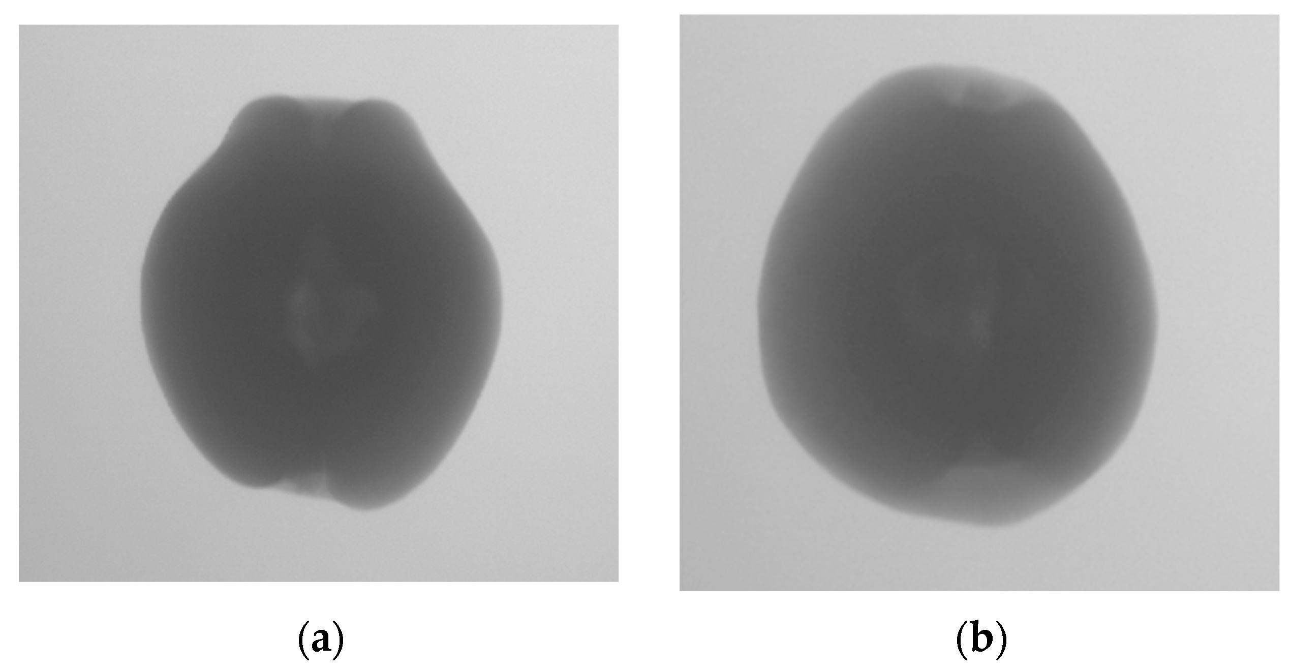 Agriculture 15 01315 g016