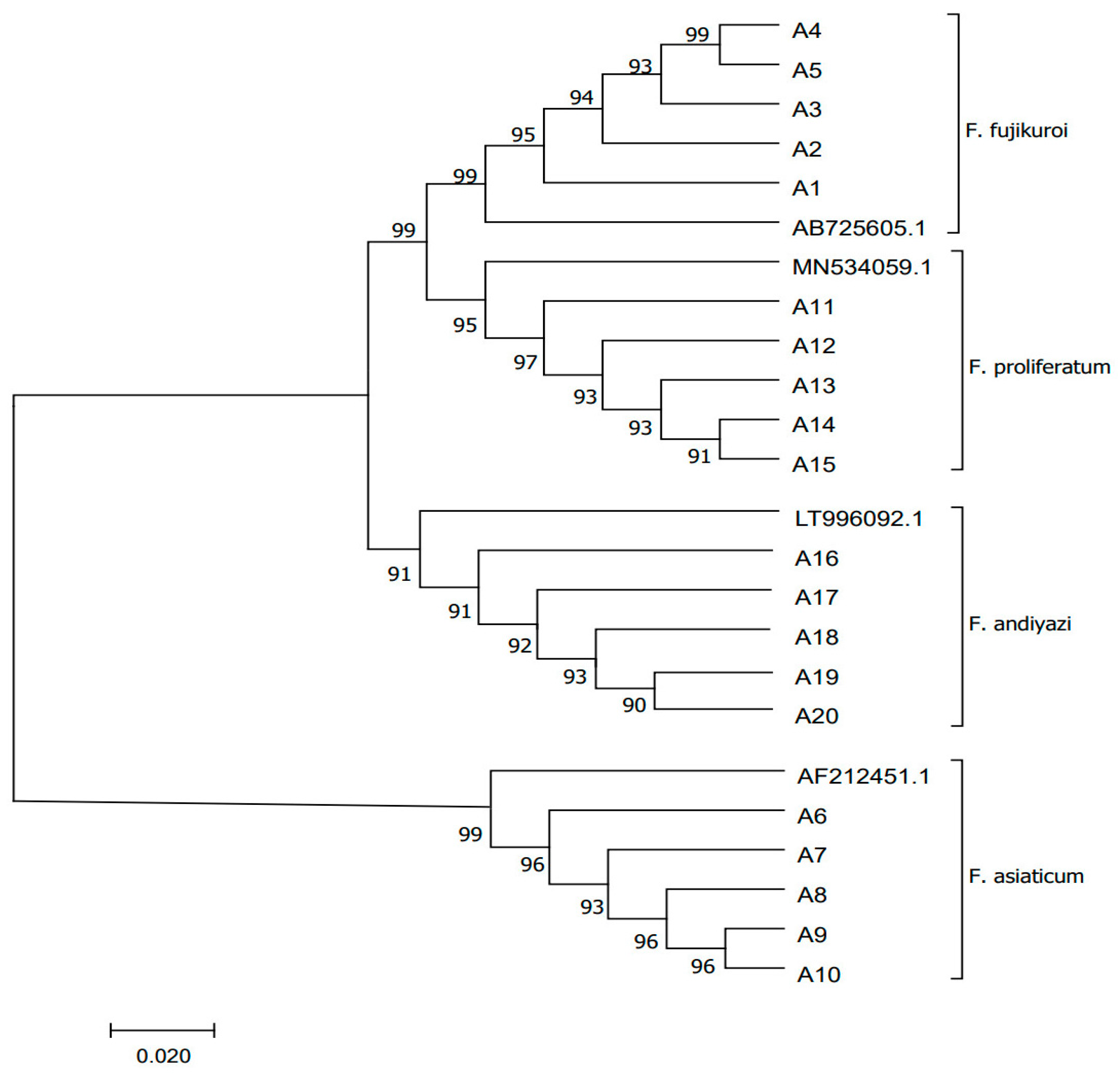 Agriculture 15 01319 g001