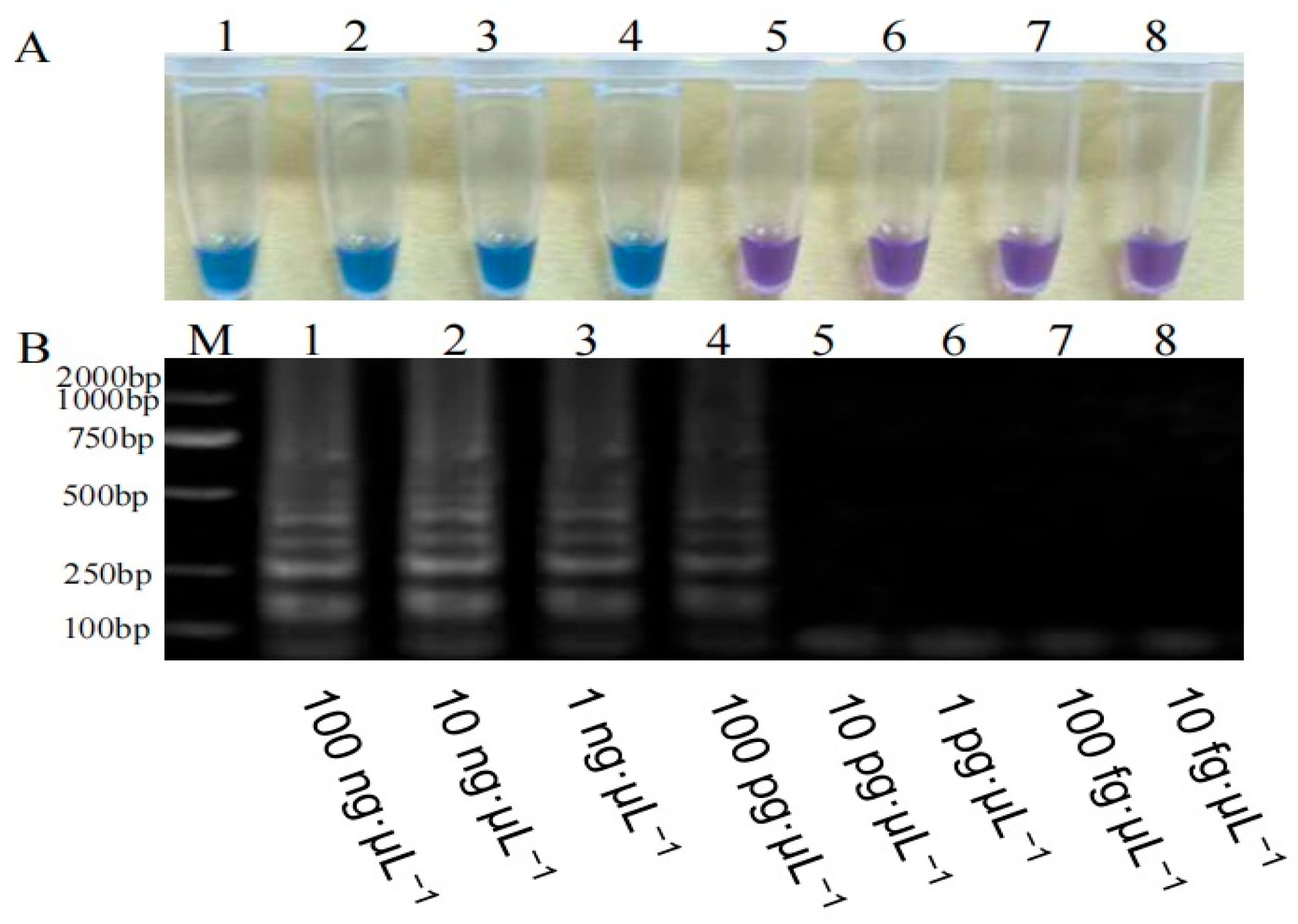 Agriculture 15 01319 g006