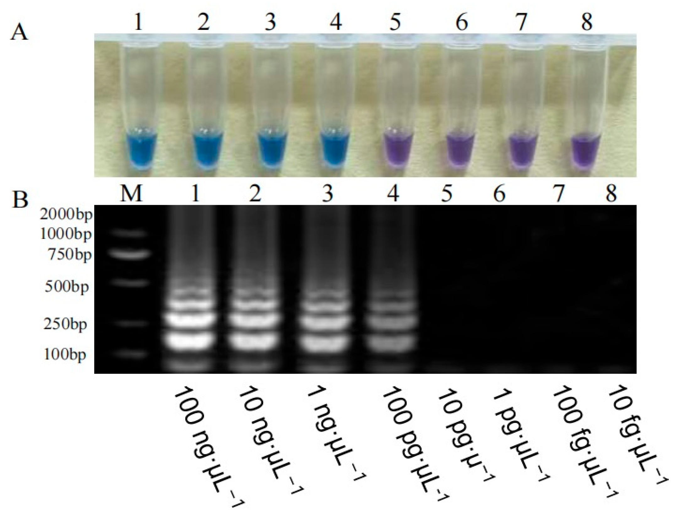 Agriculture 15 01319 g007