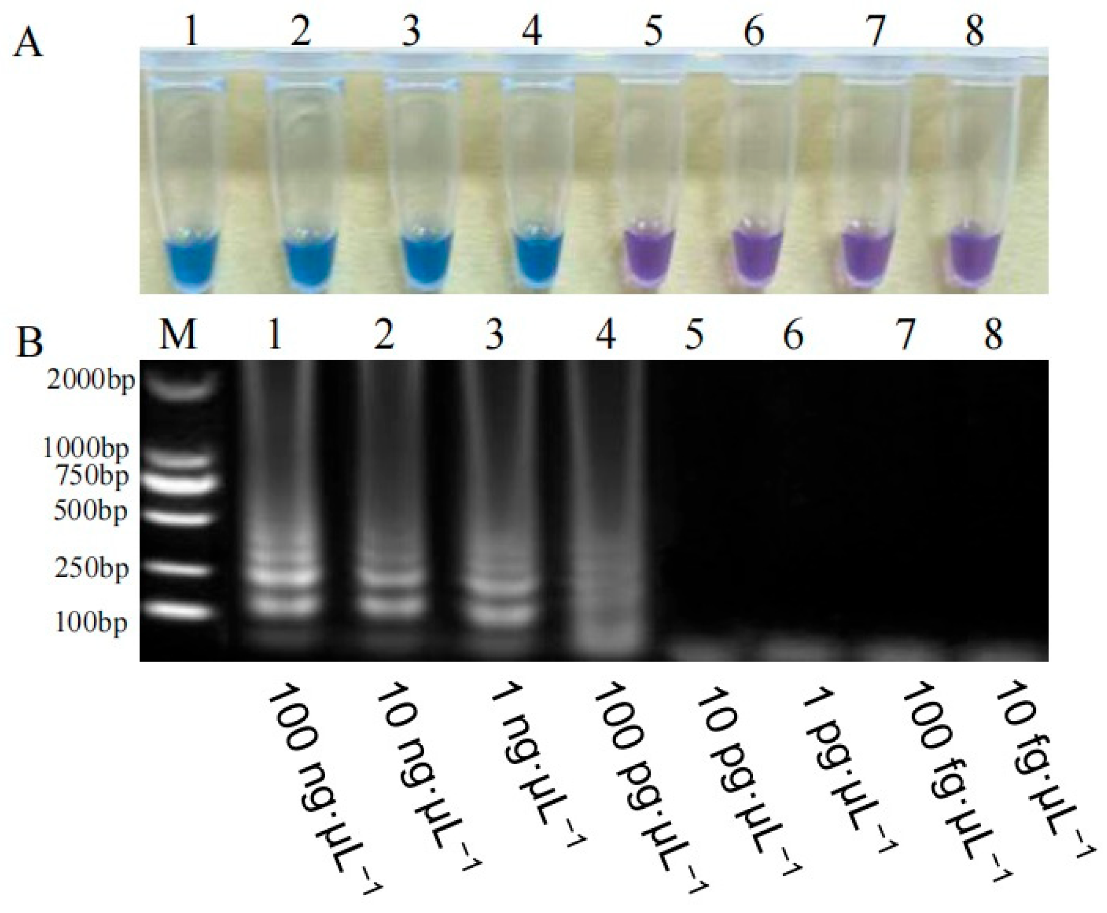 Agriculture 15 01319 g009