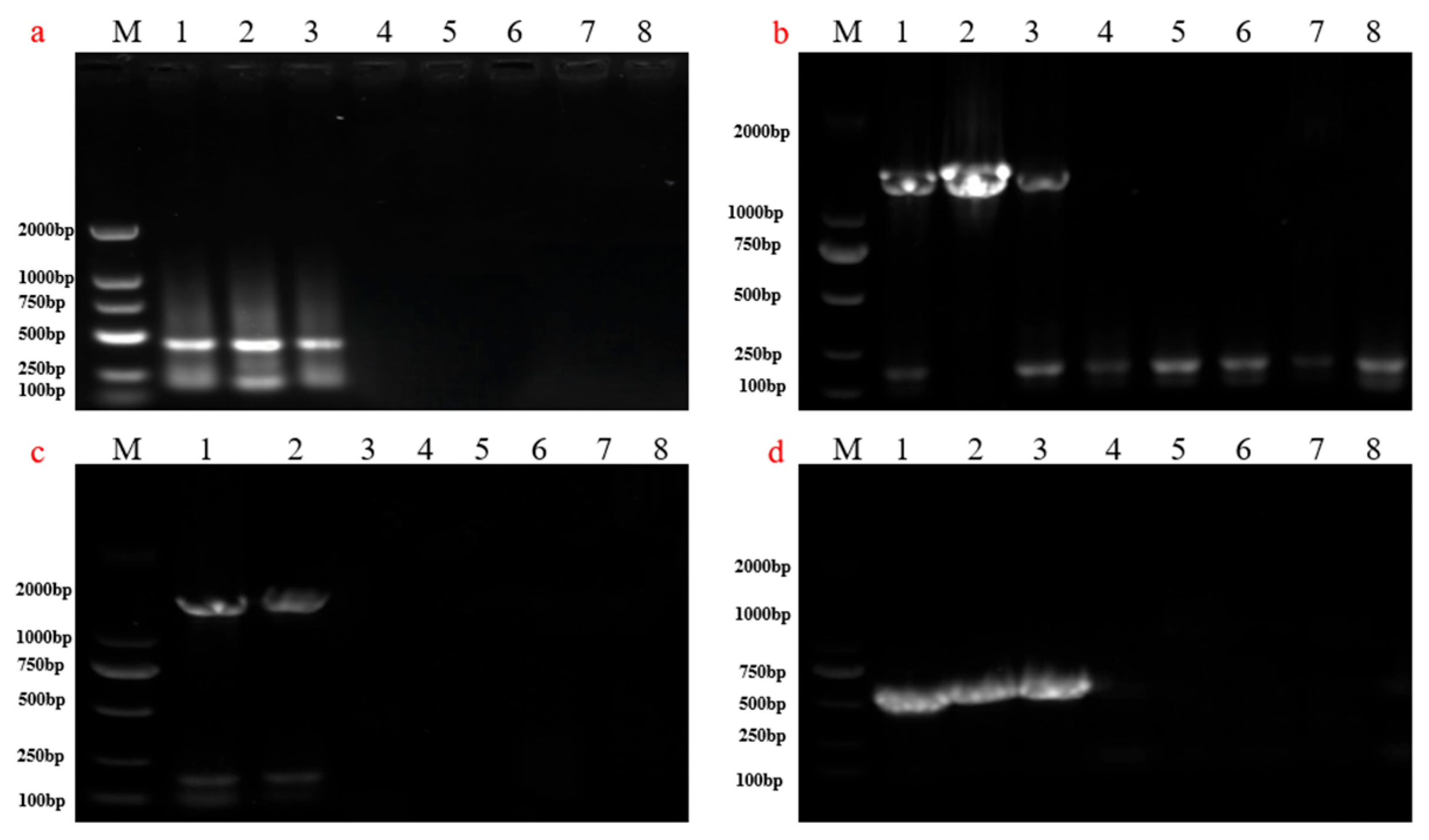 Agriculture 15 01319 g010