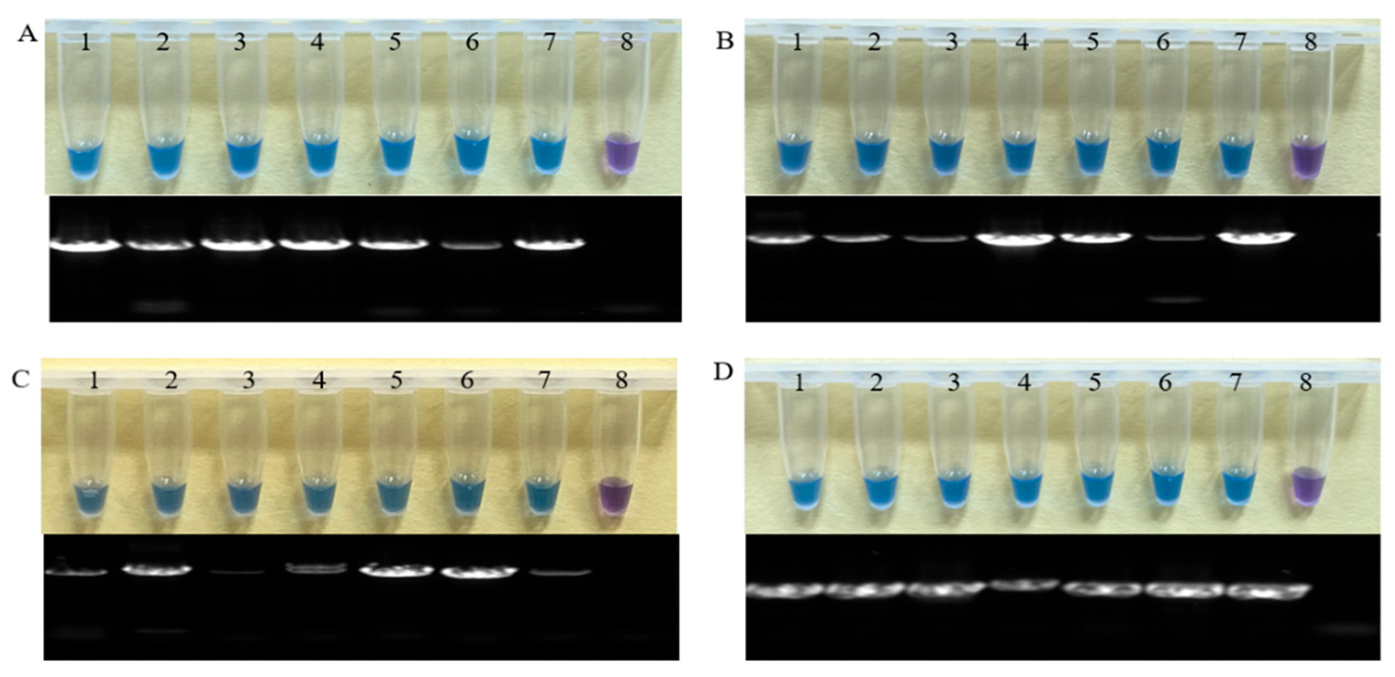 Agriculture 15 01319 g011