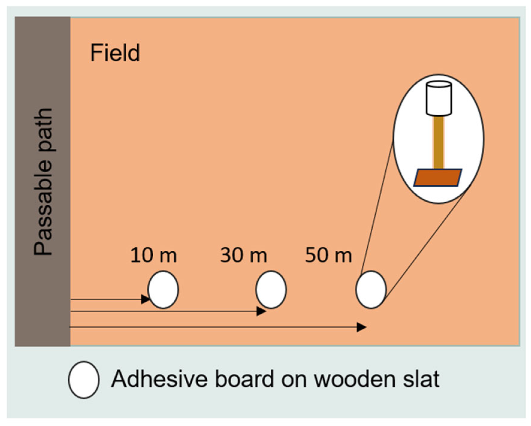 Agriculture 15 01323 g005