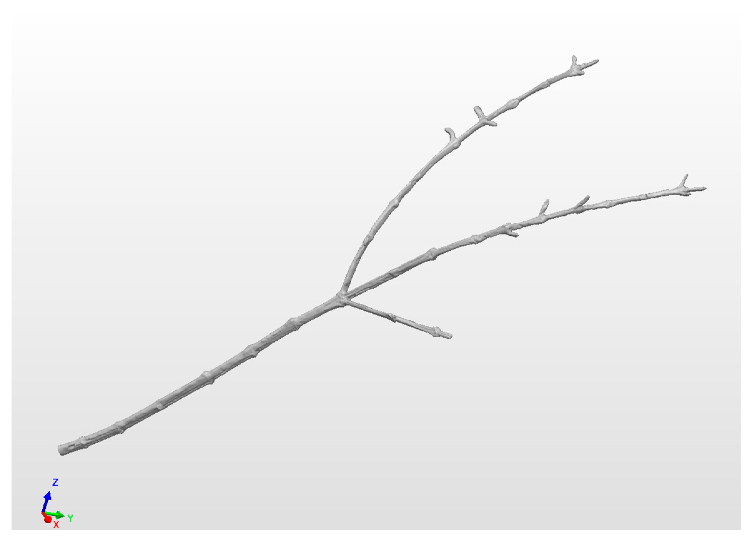 Agriculture 15 01326 g004