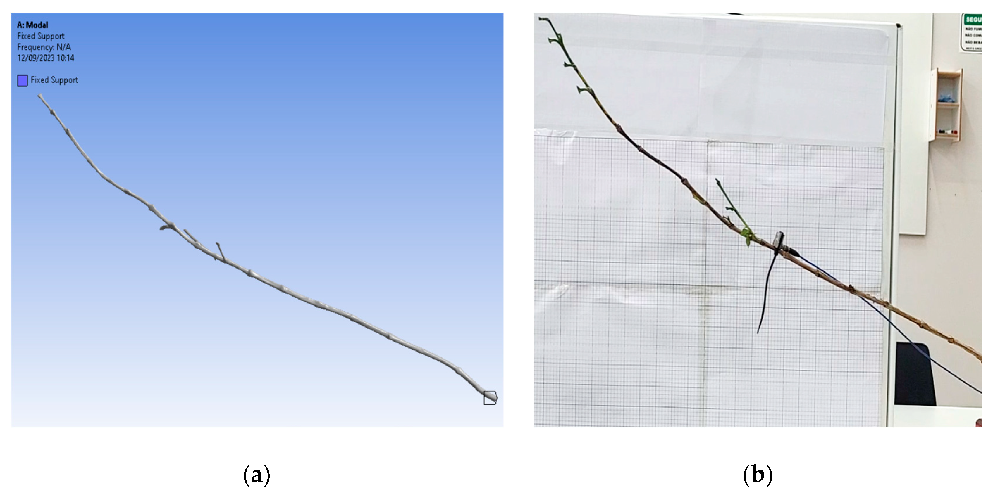 Agriculture 15 01326 g024